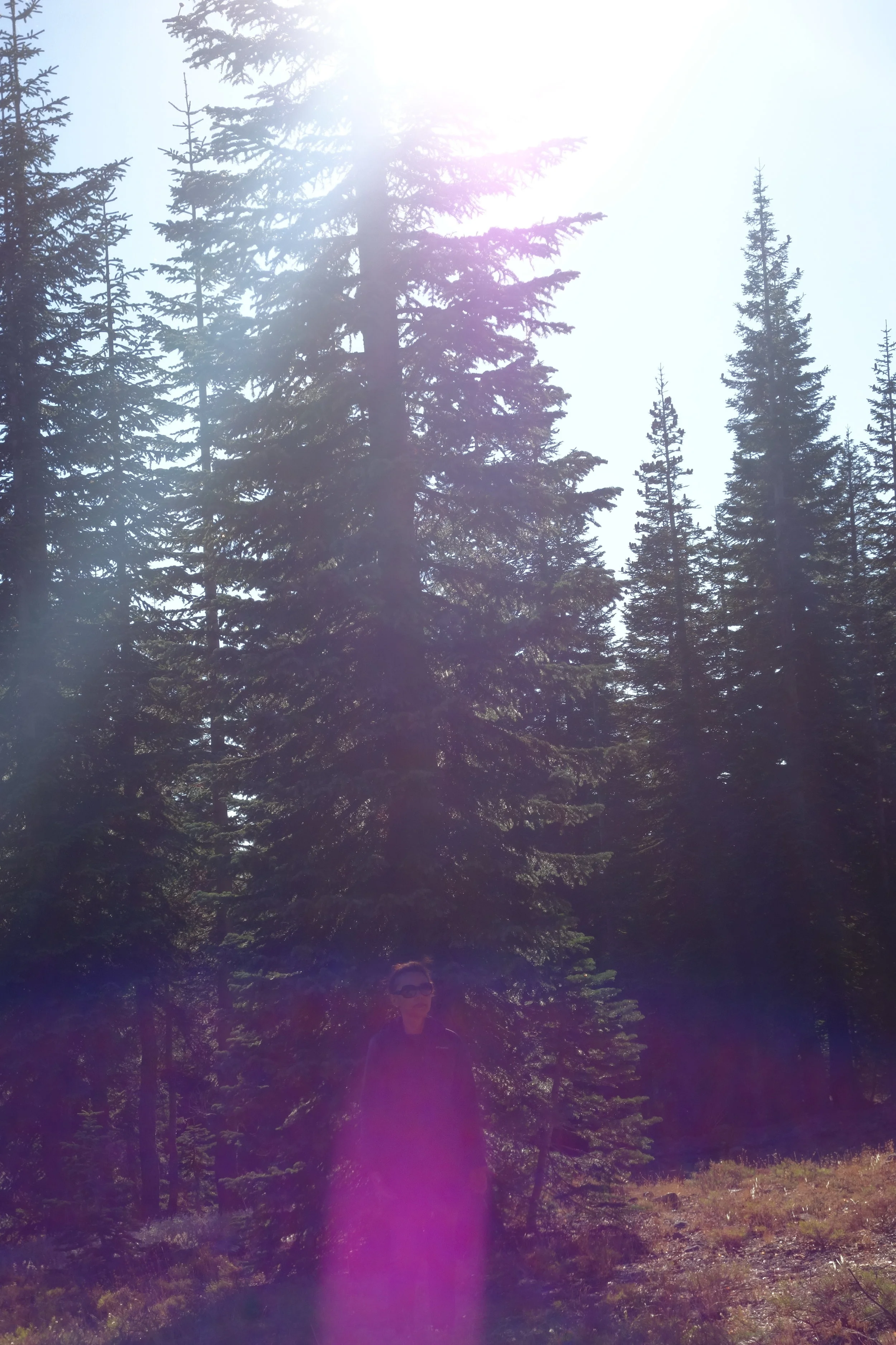 Mt Shasta Spiritual Tours . Mt Shasta Guide