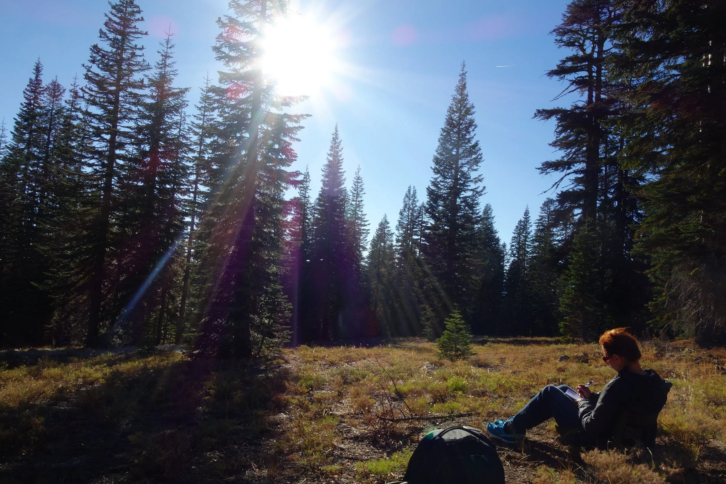 Mt Shasta Spiritual Tours . Mt Shasta Guide