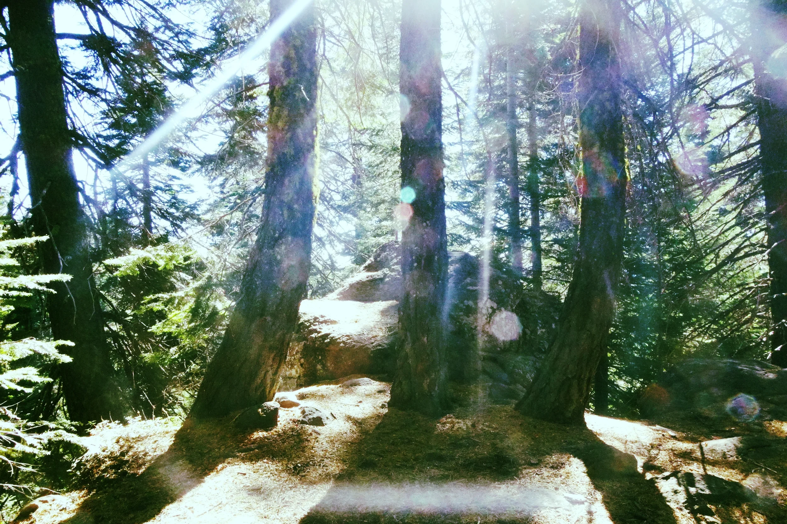 Mt Shasta Spiritual Tours . Mt Shasta Guide