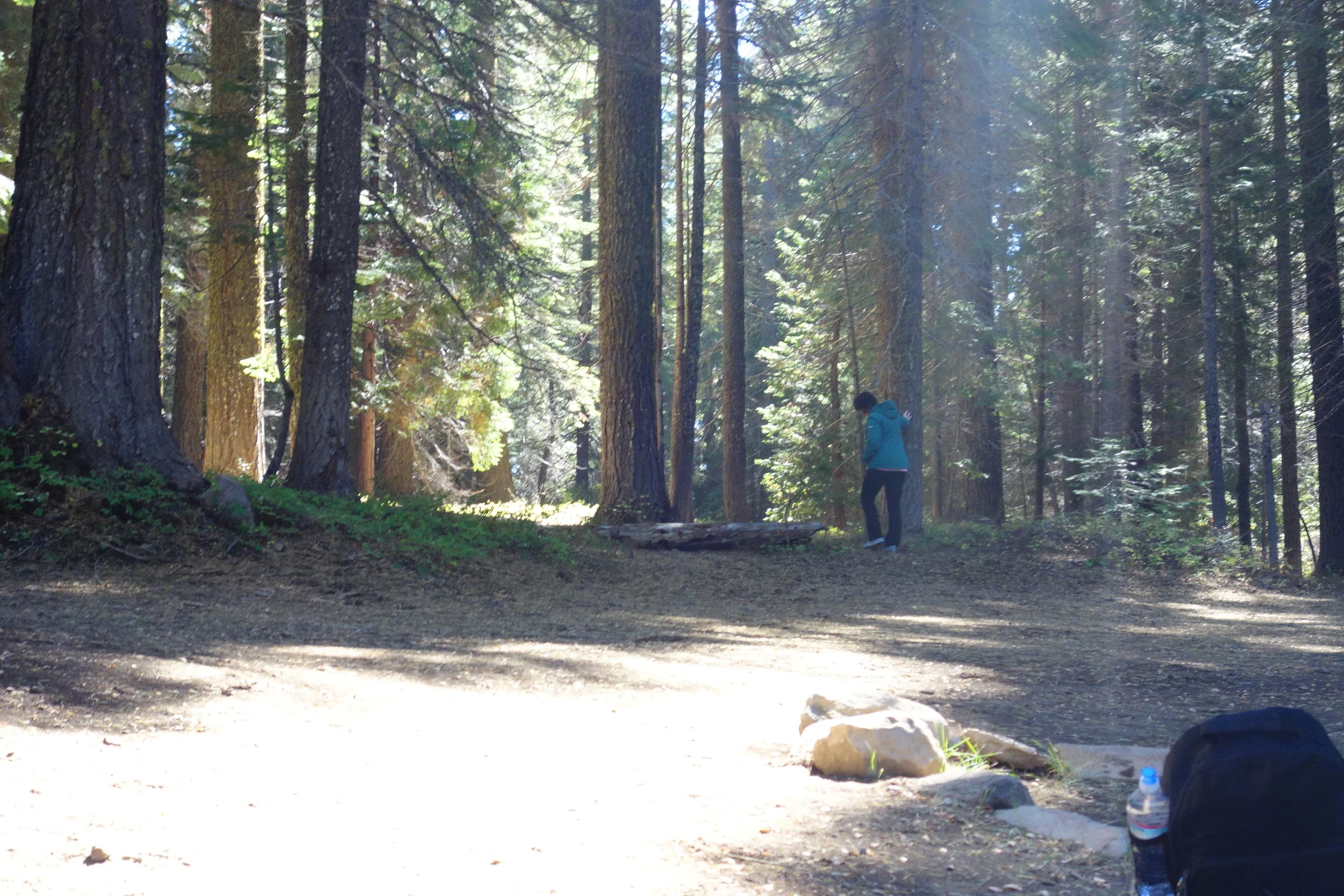 Mt Shasta Spiritual Tours . Mt Shasta Guide