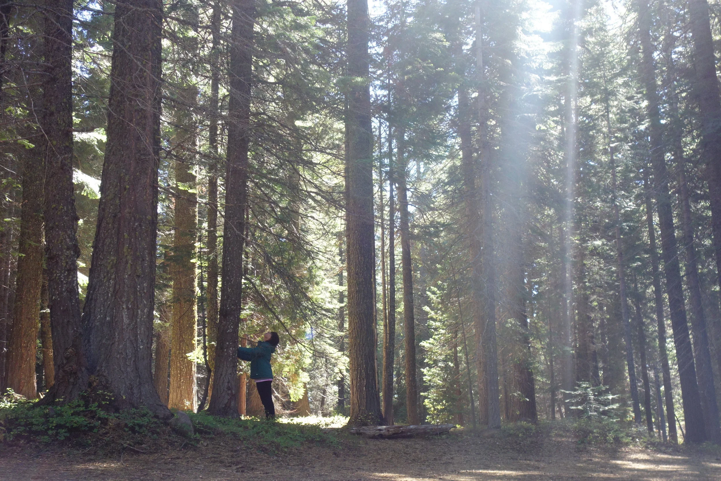 Mt Shasta Spiritual Tours . Mt Shasta Guide