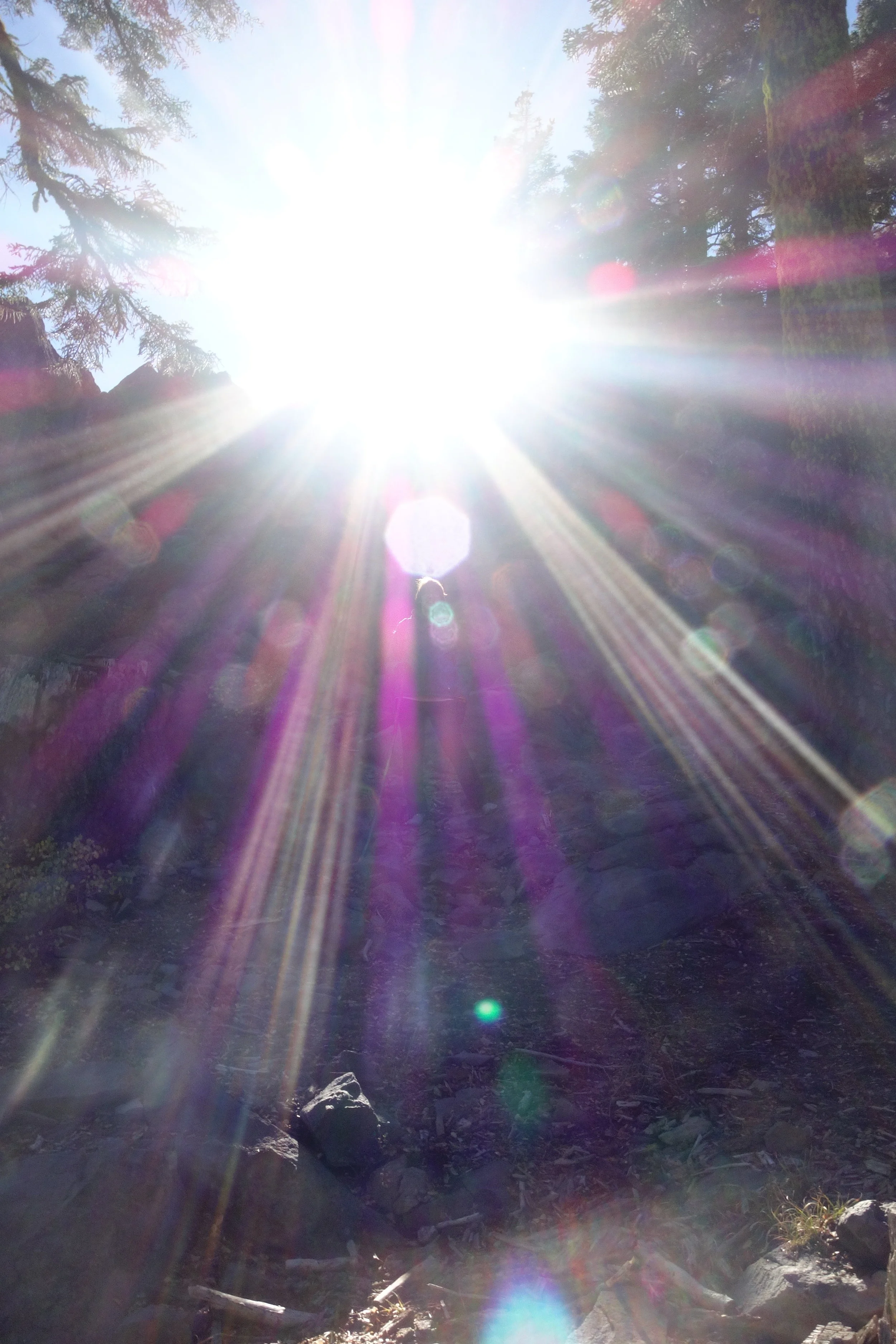 Mt Shasta Spiritual Tours . Mt Shasta Guide