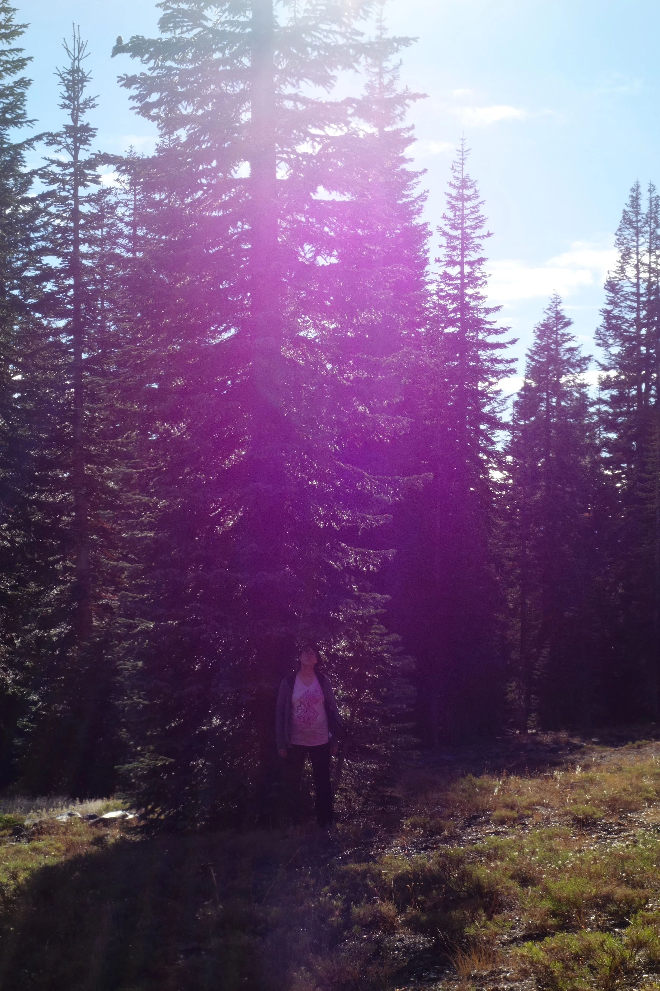 Mt Shasta Spiritual Tours . Mt Shasta Guide