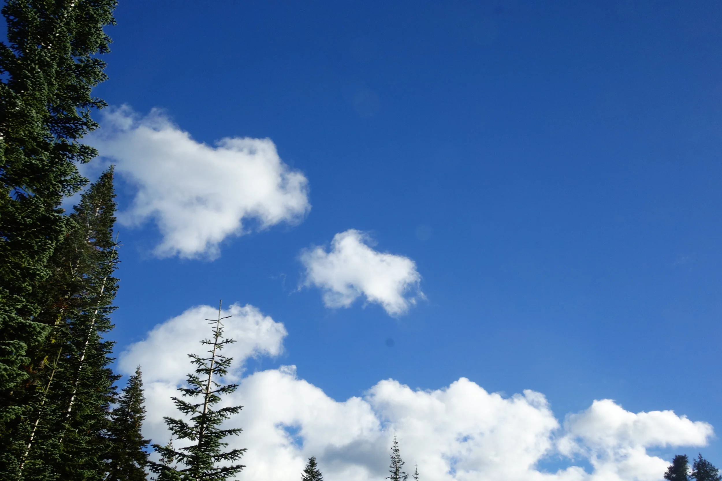 Mt Shasta Spiritual Tours . Mt Shasta Guide