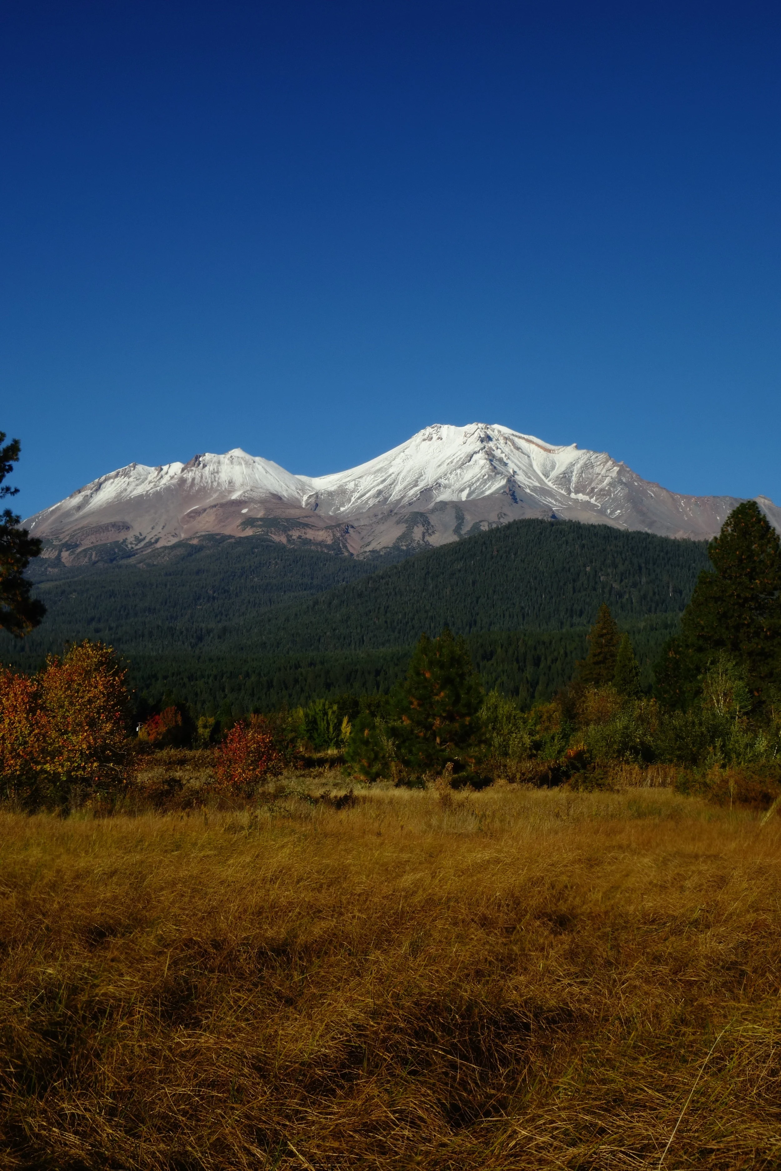 Mt Shasta Spiritual Tours . Mt Shasta Guide