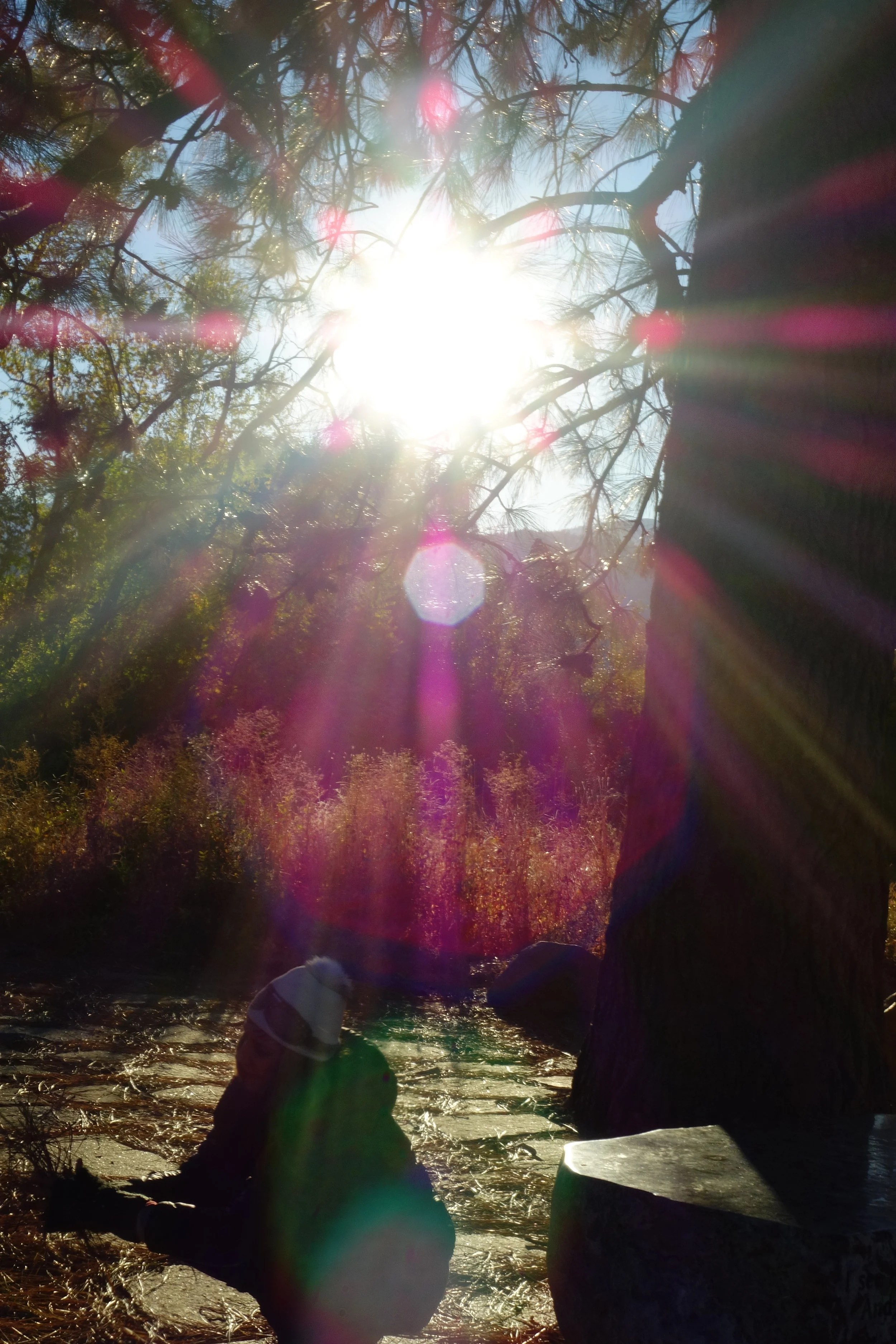 Mt Shasta Spiritual Tours . Mt Shasta Guide