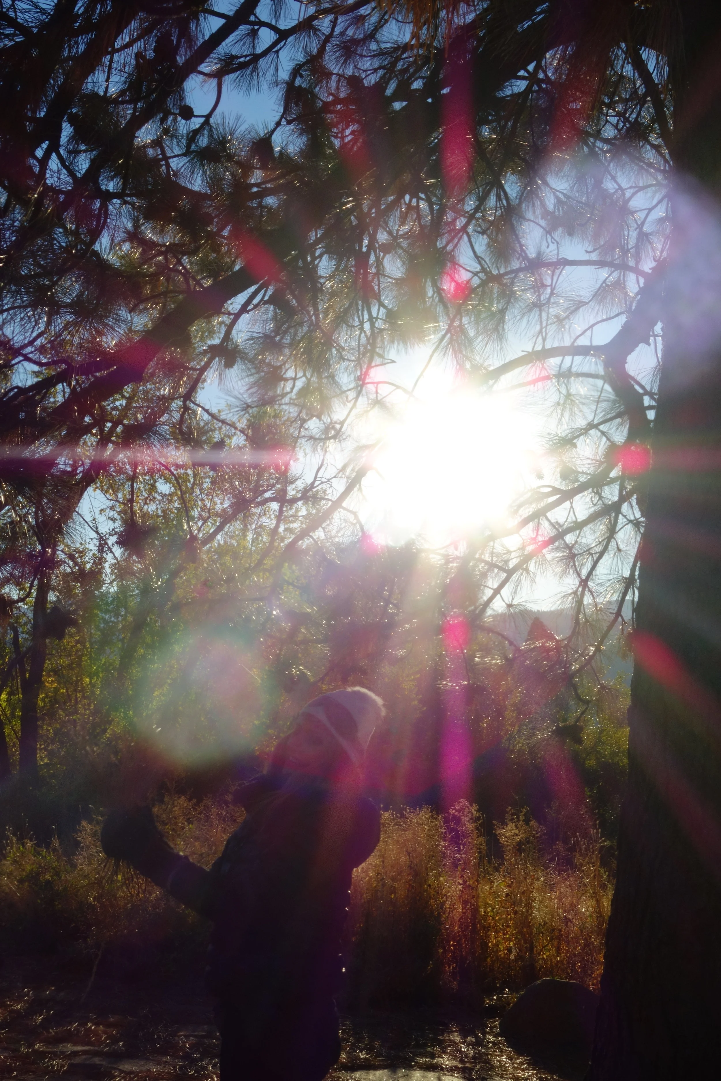 Mt Shasta Spiritual Tours . Mt Shasta Guide