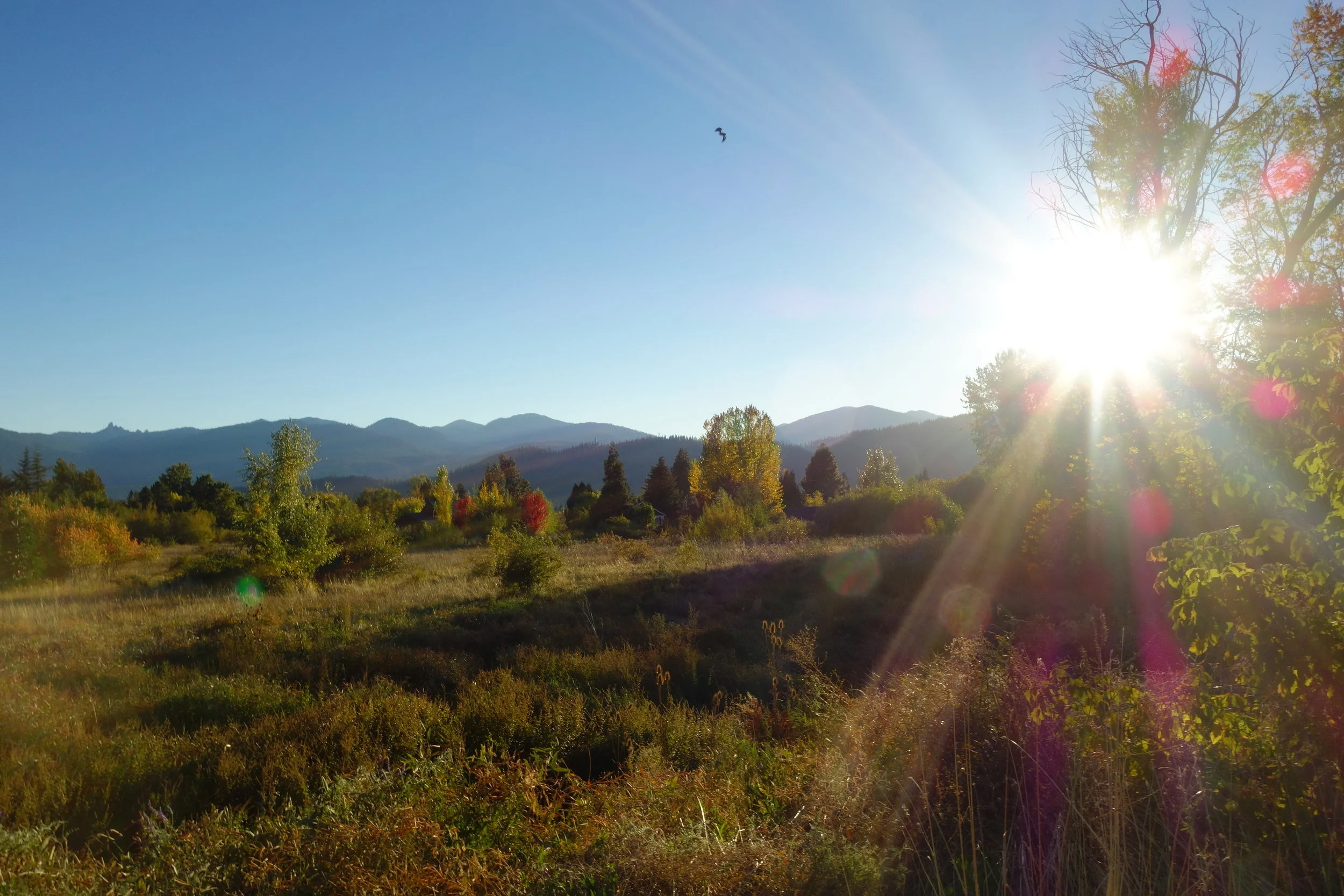 Mt Shasta Spiritual Tours . Mt Shasta Guide