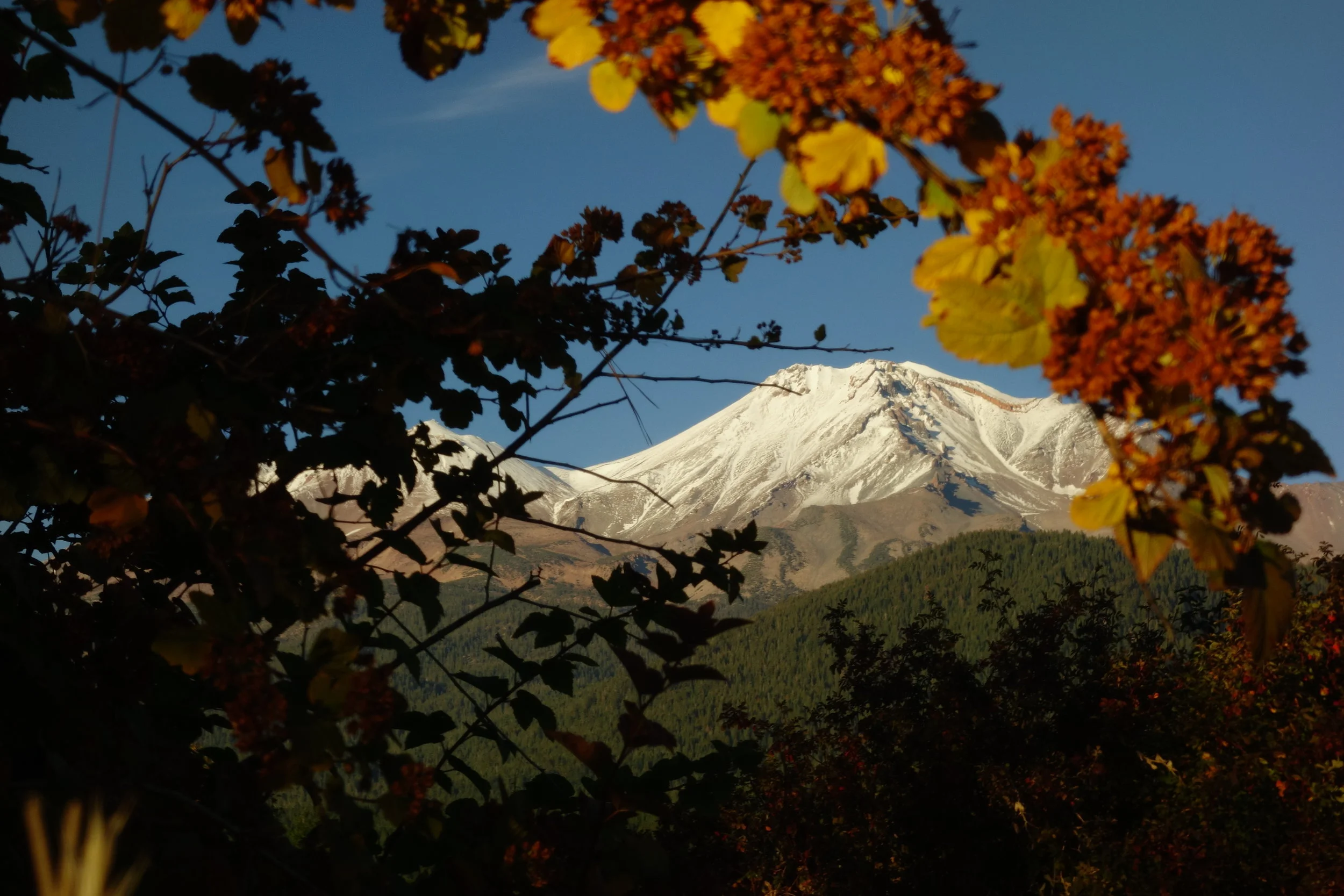 Mt Shasta Spiritual Tours . Mt Shasta Guide