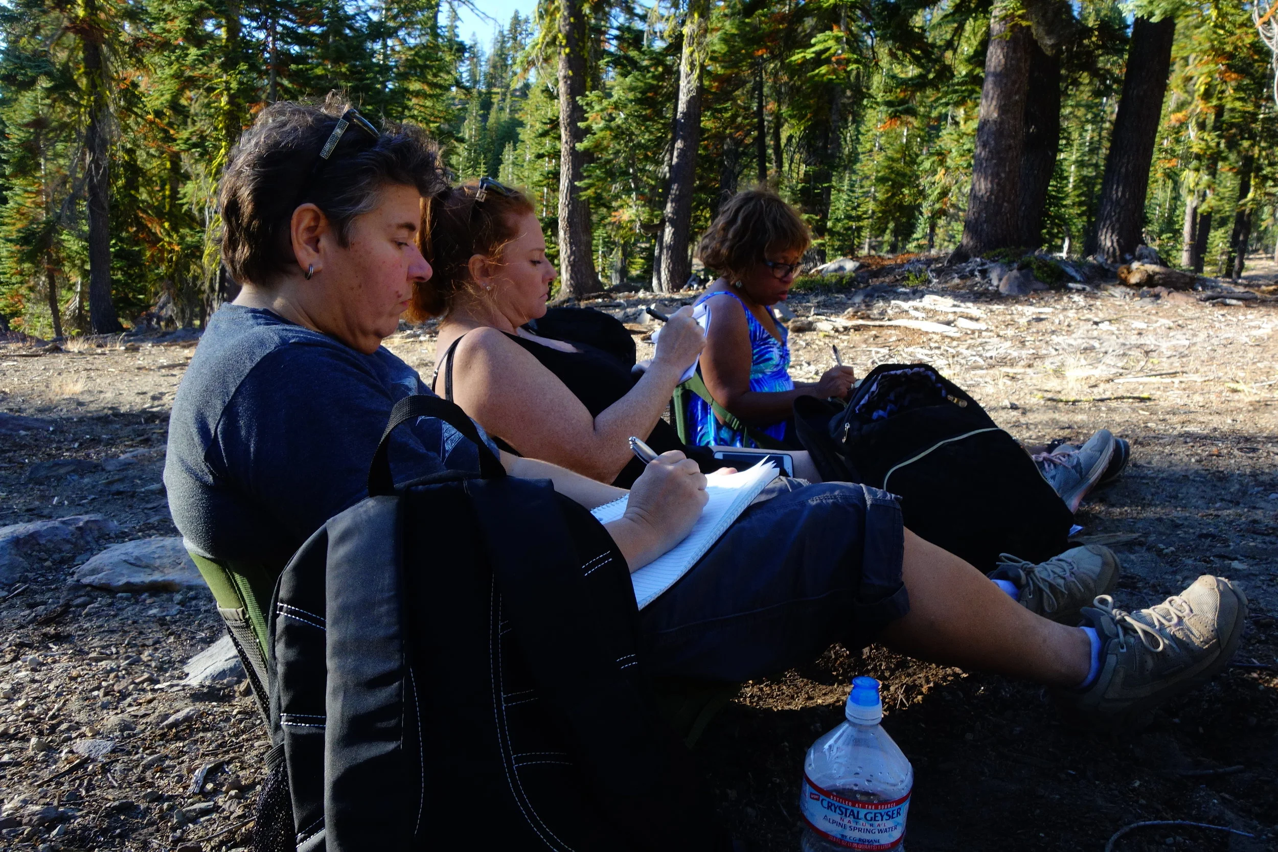 Mt Shasta Spiritual Tours . Mt Shasta Guide