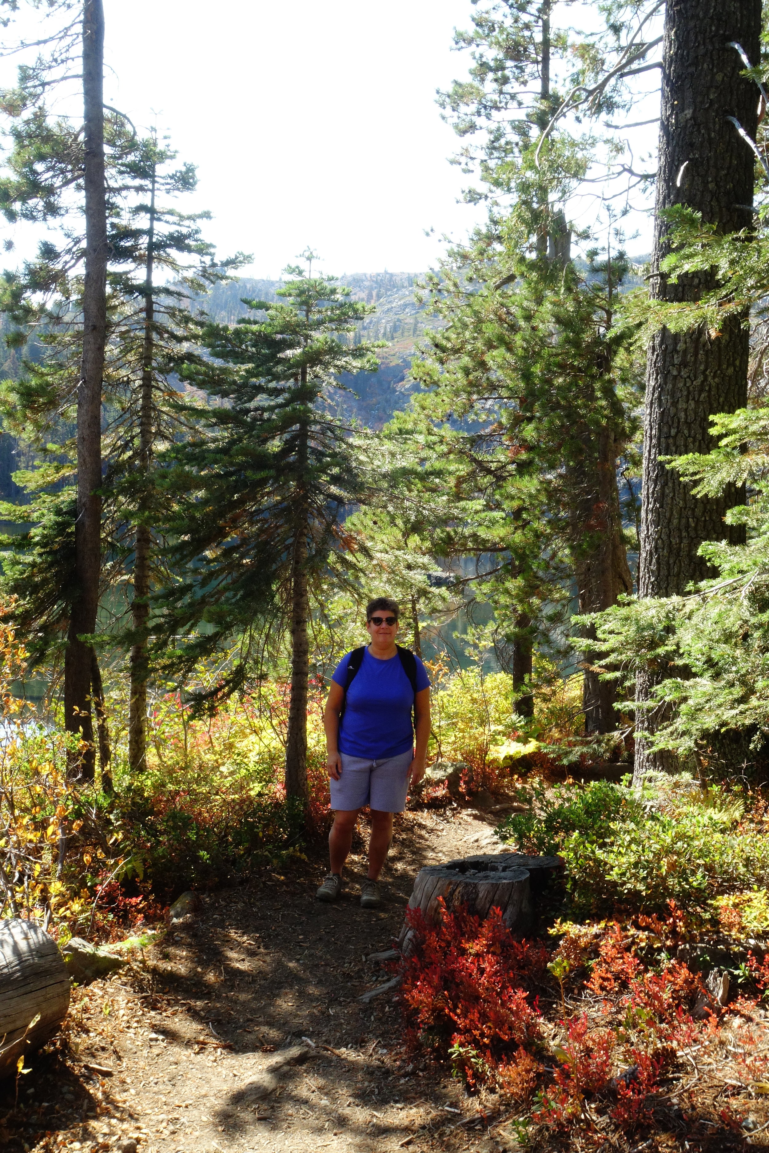 Mt Shasta Spiritual Tours . Mt Shasta Guide