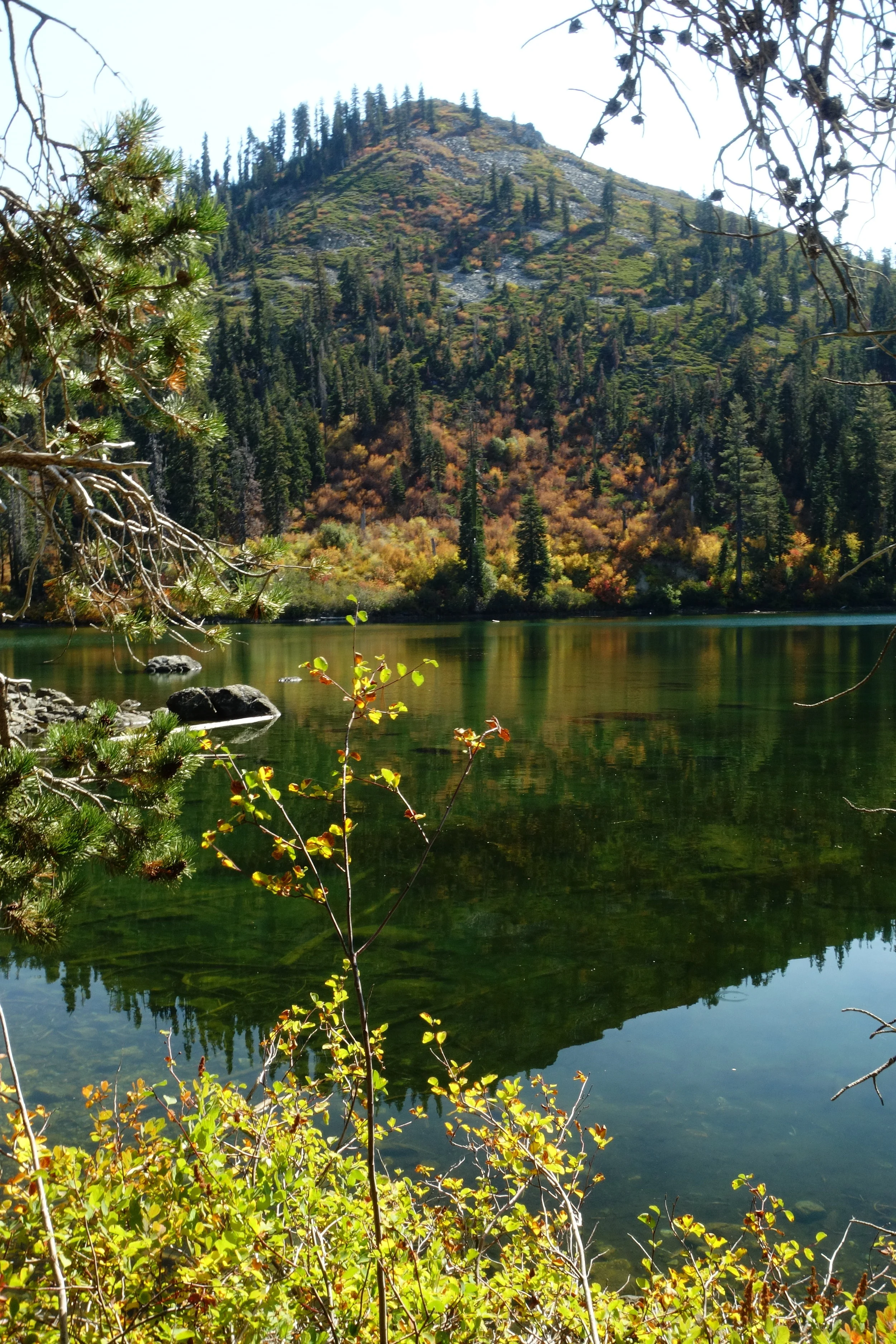 Mt Shasta Spiritual Tours . Mt Shasta Guide