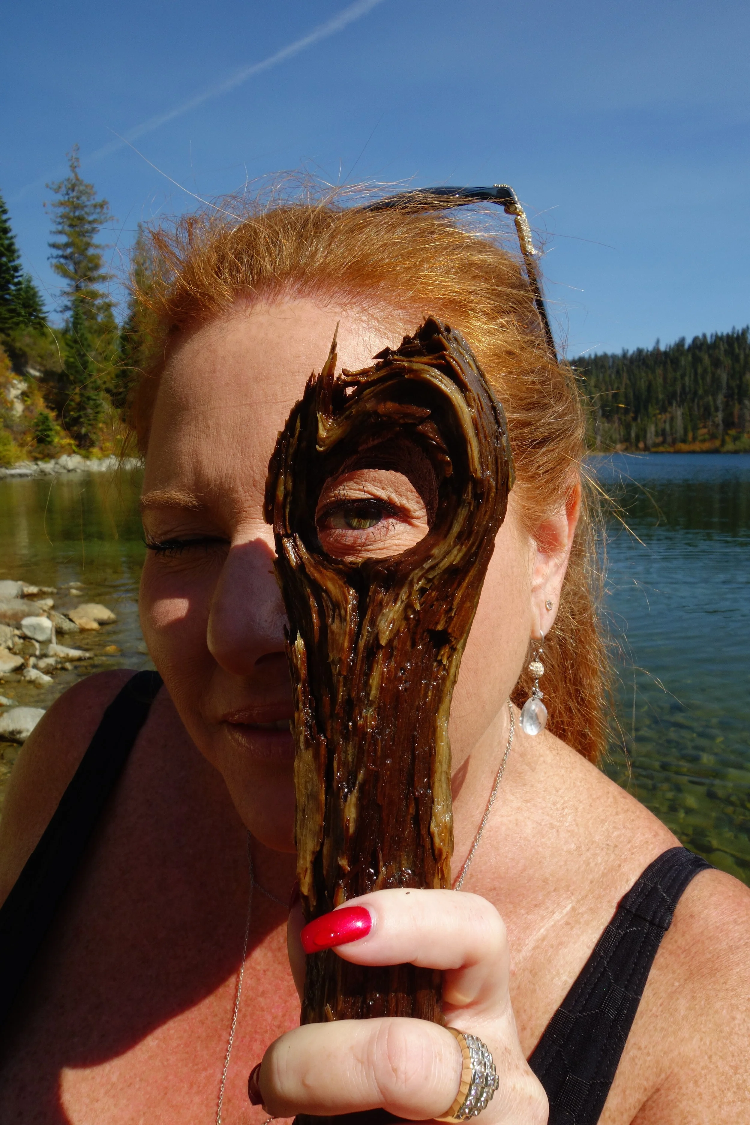 Mt Shasta Spiritual Tours . Mt Shasta Guide