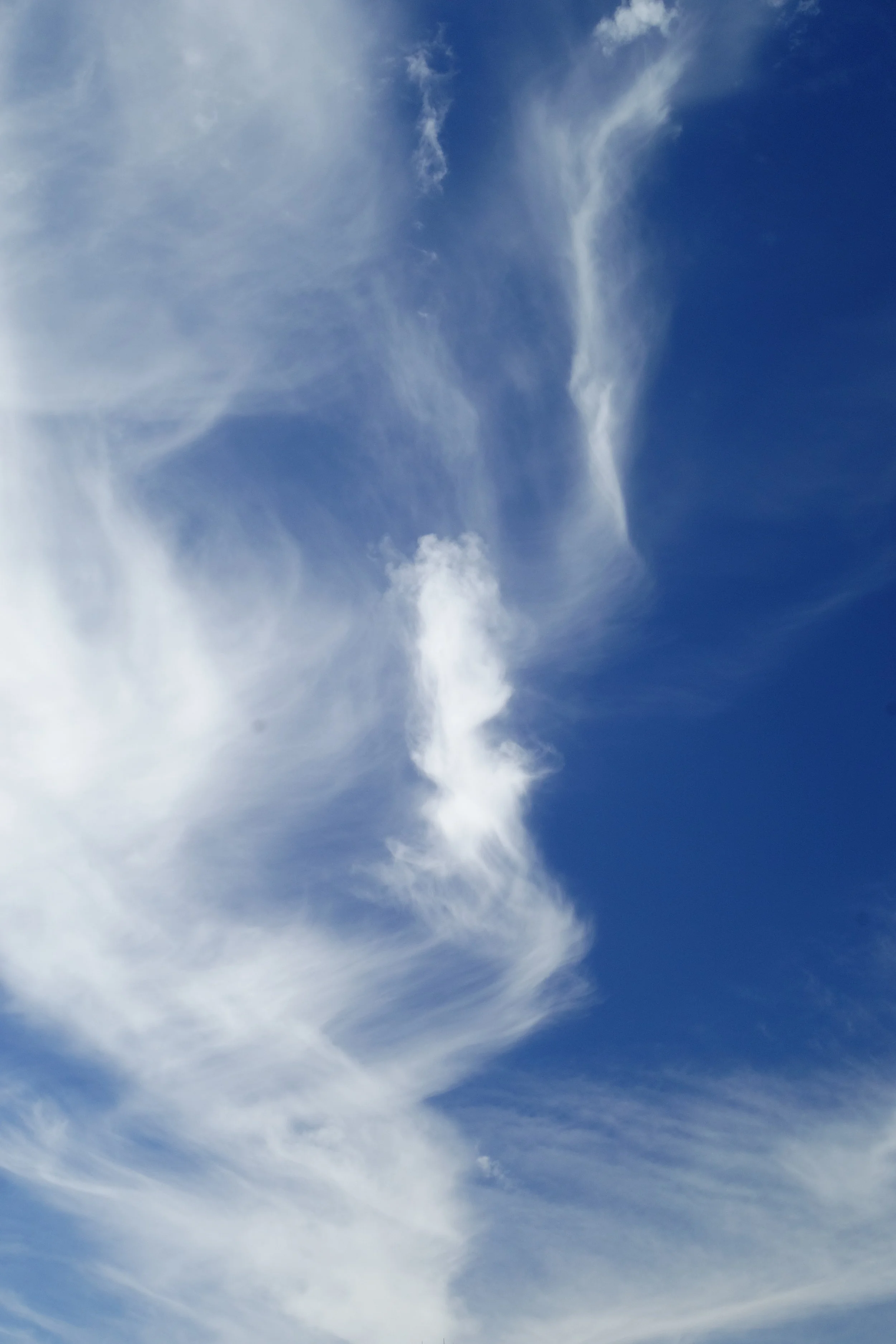 Mt Shasta Spiritual Tours . Mt Shasta Guide