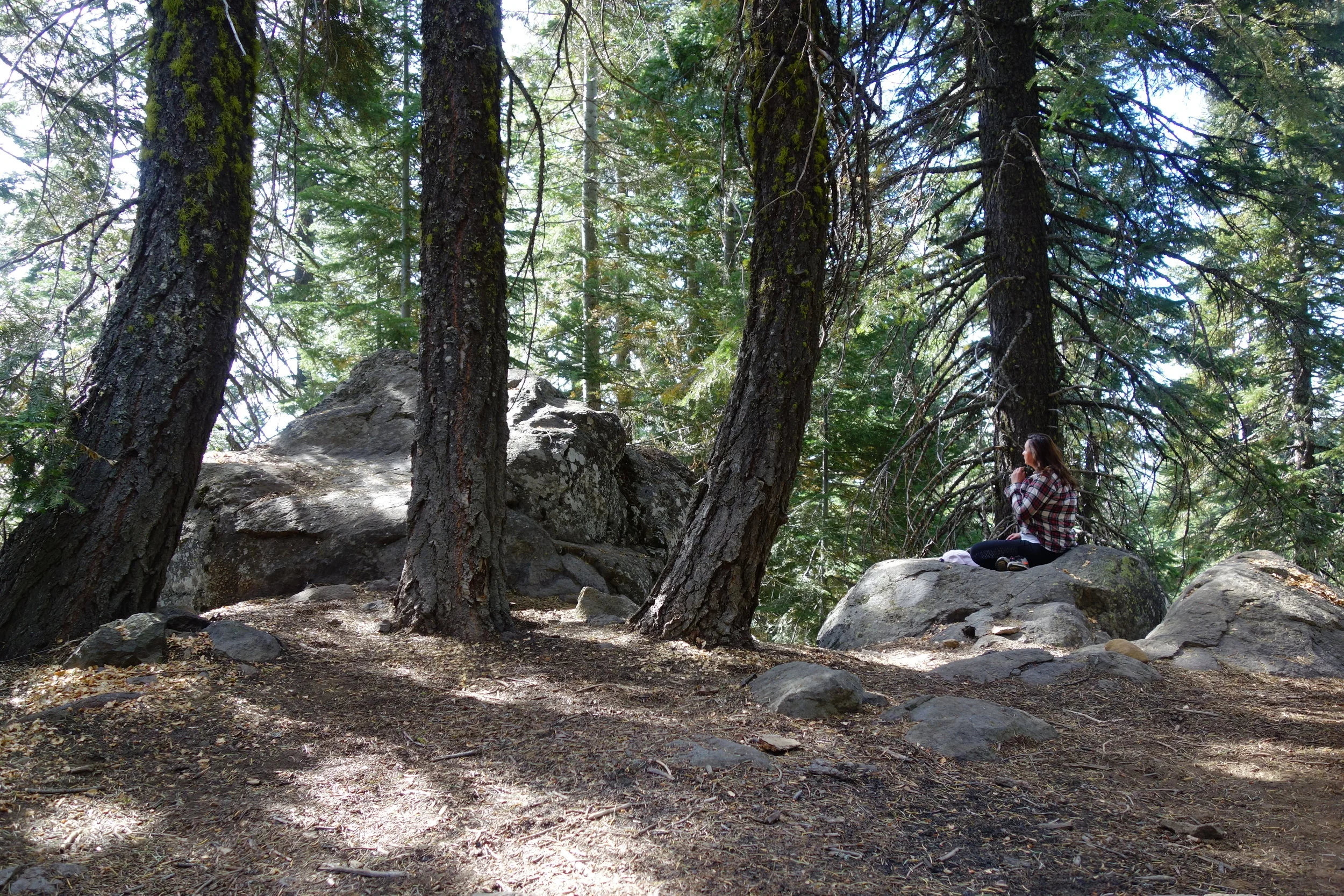 Mt Shasta Spiritual Tours . Mt Shasta Guide