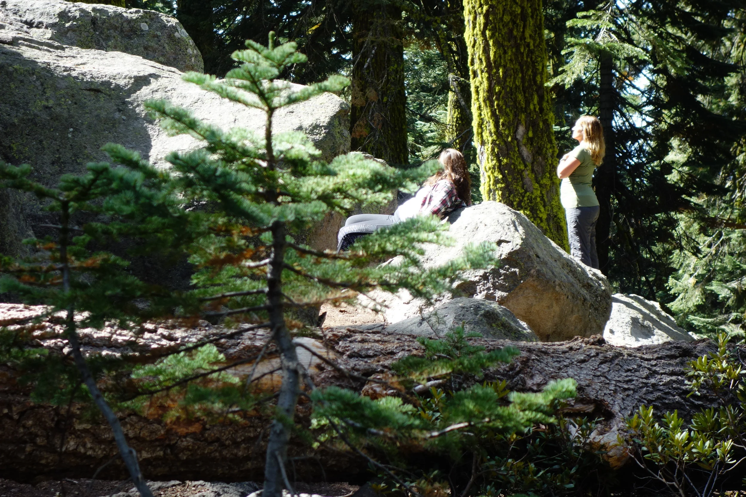 Mt Shasta Spiritual Tours . Mt Shasta Guide