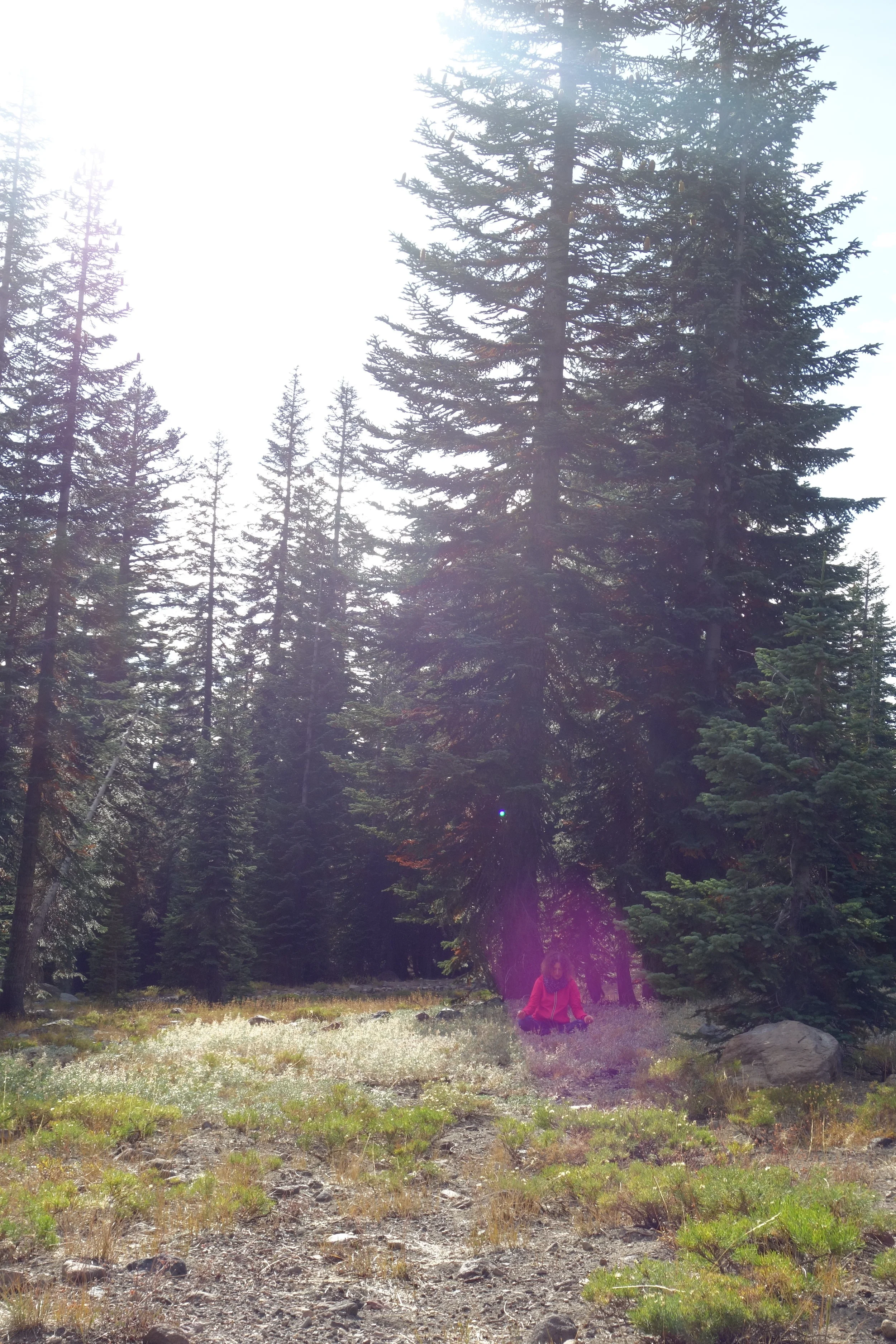 Mt Shasta Spiritual Tours . Mt Shasta Guide