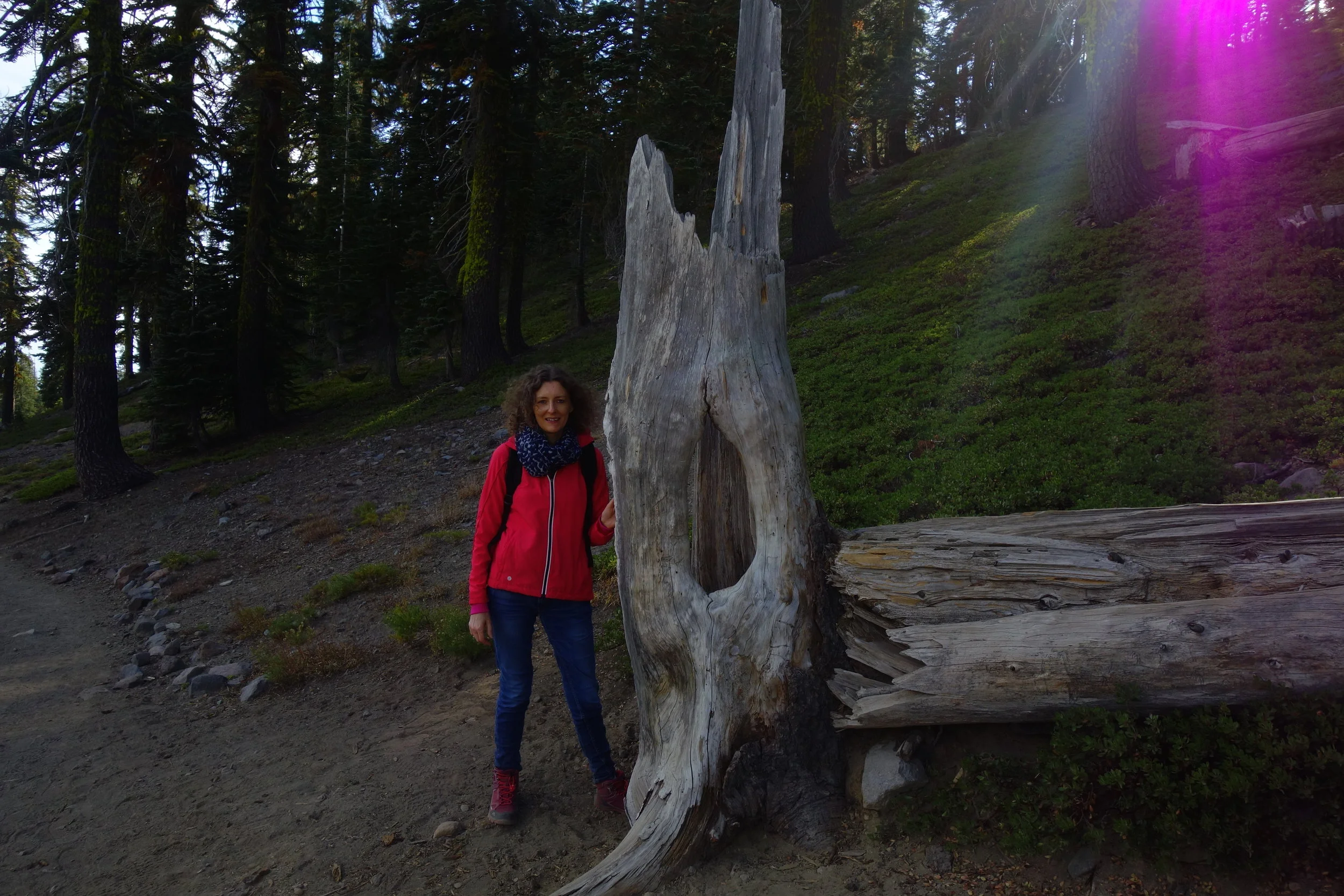 Mt Shasta Spiritual Tours . Mt Shasta Guide