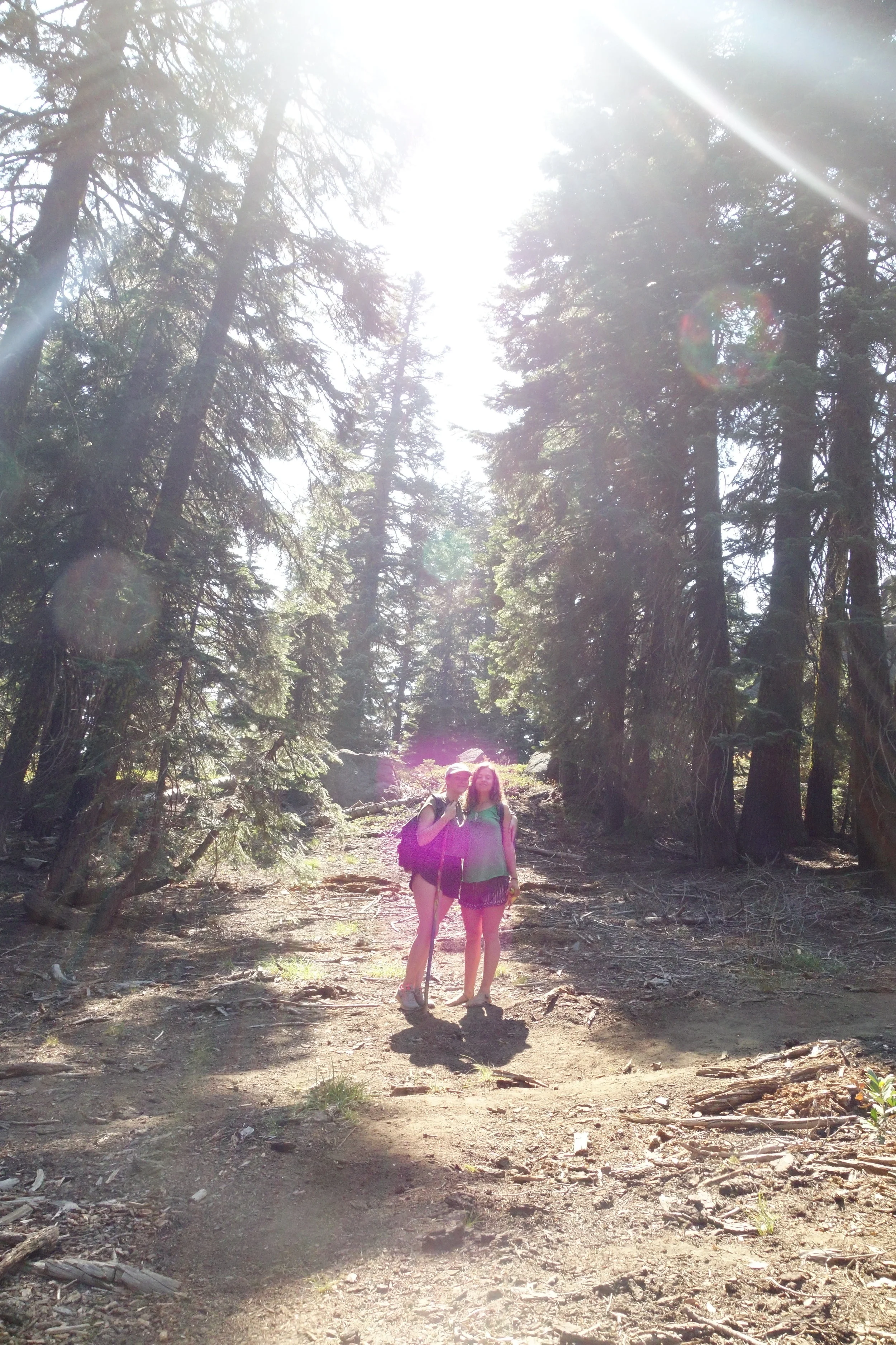 Mt Shasta Spiritual Tours . Mt Shasta Guide  / The Violet Flame