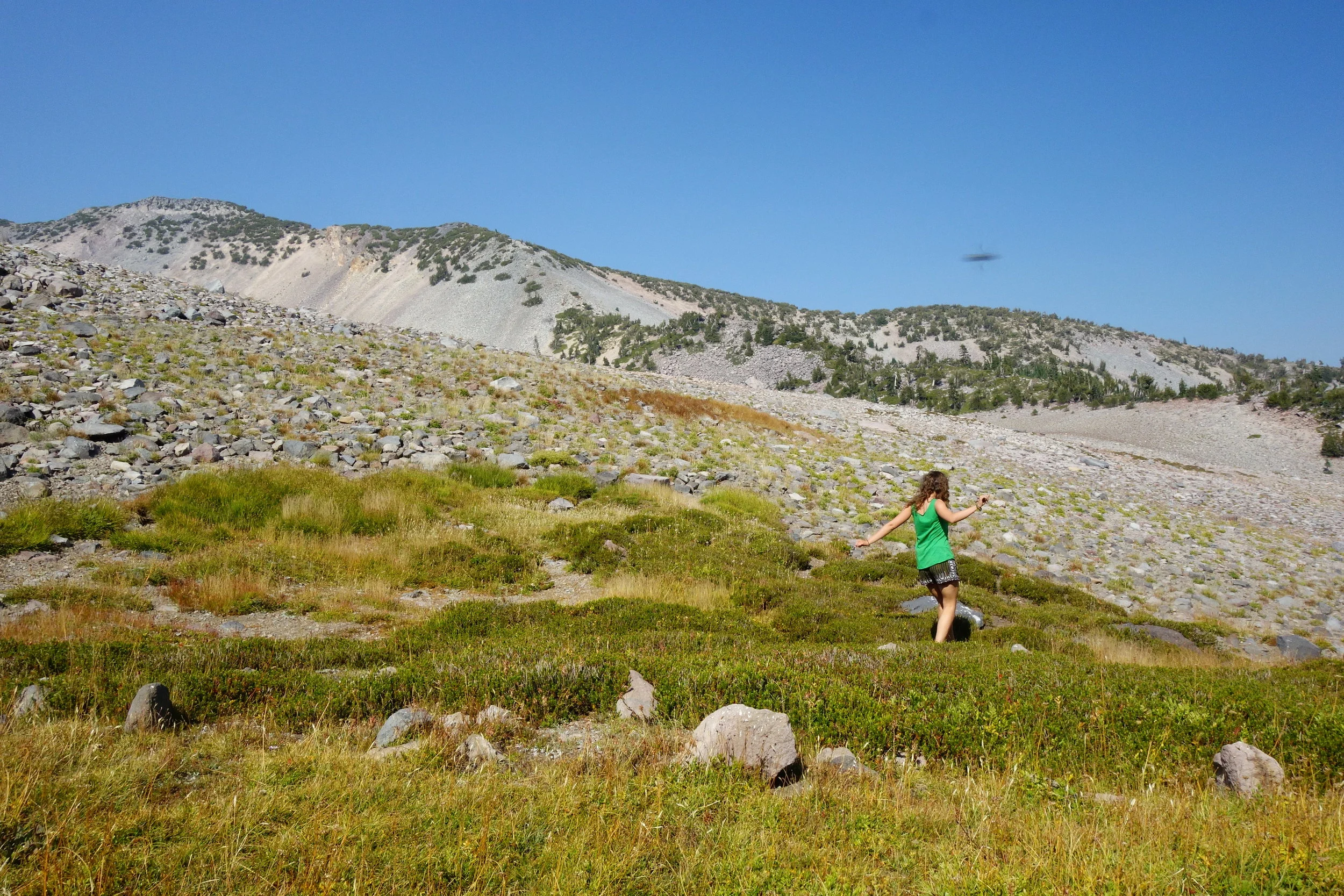 Mt Shasta Spiritual Tours . Mt Shasta Guide