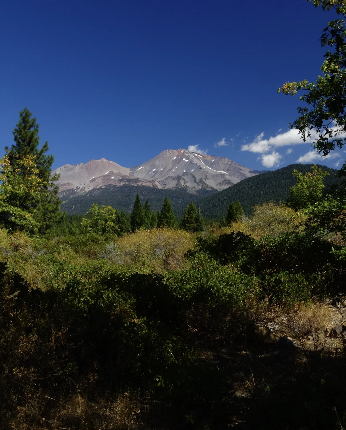 Mt Shasta Spiritual Tours . Mt Shasta Guide