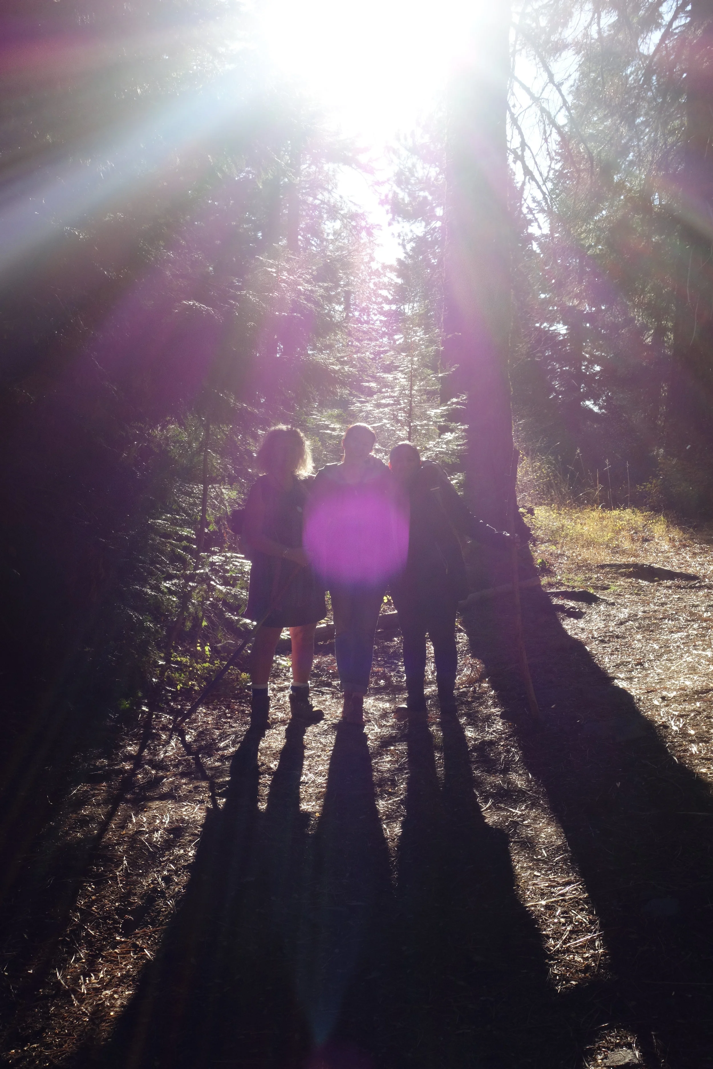 mount shasta spiritual tours / The Violet Flame