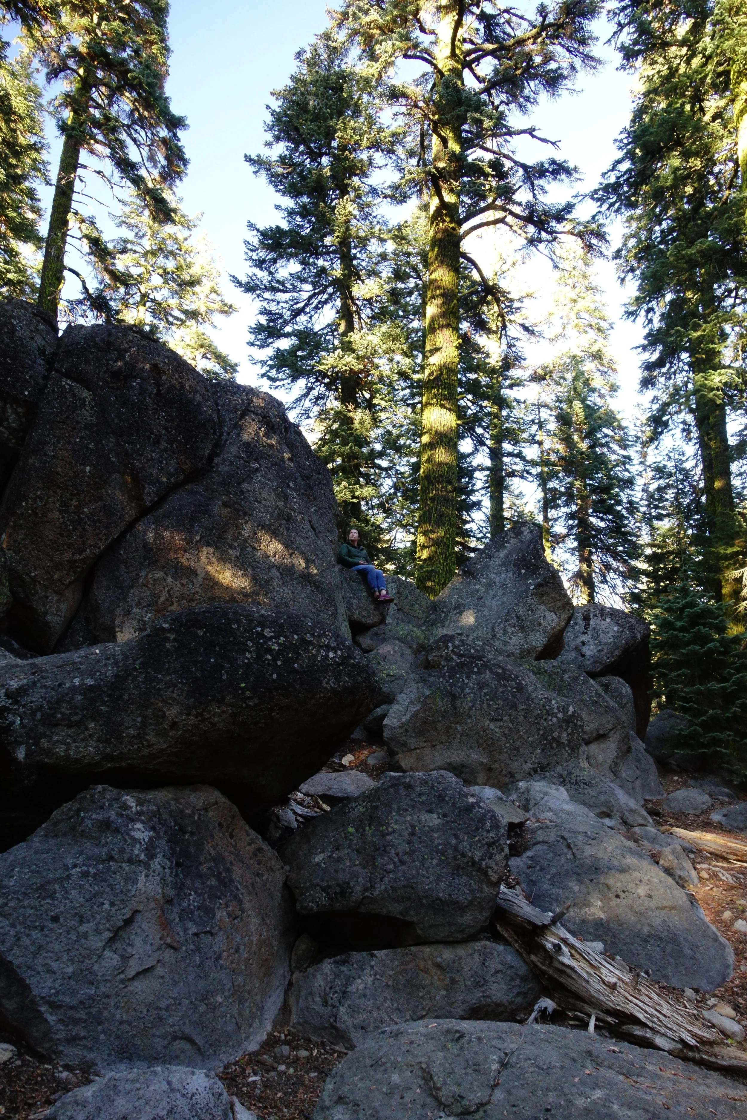 mount shasta spiritual tours