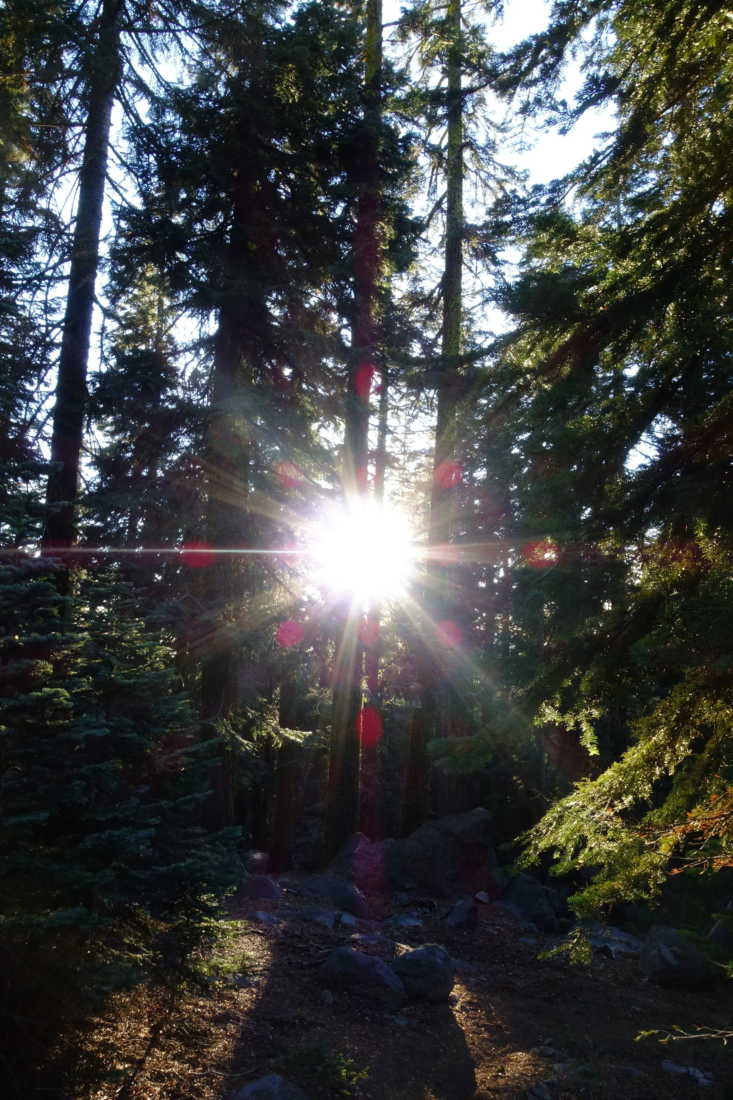 mount shasta spiritual tours