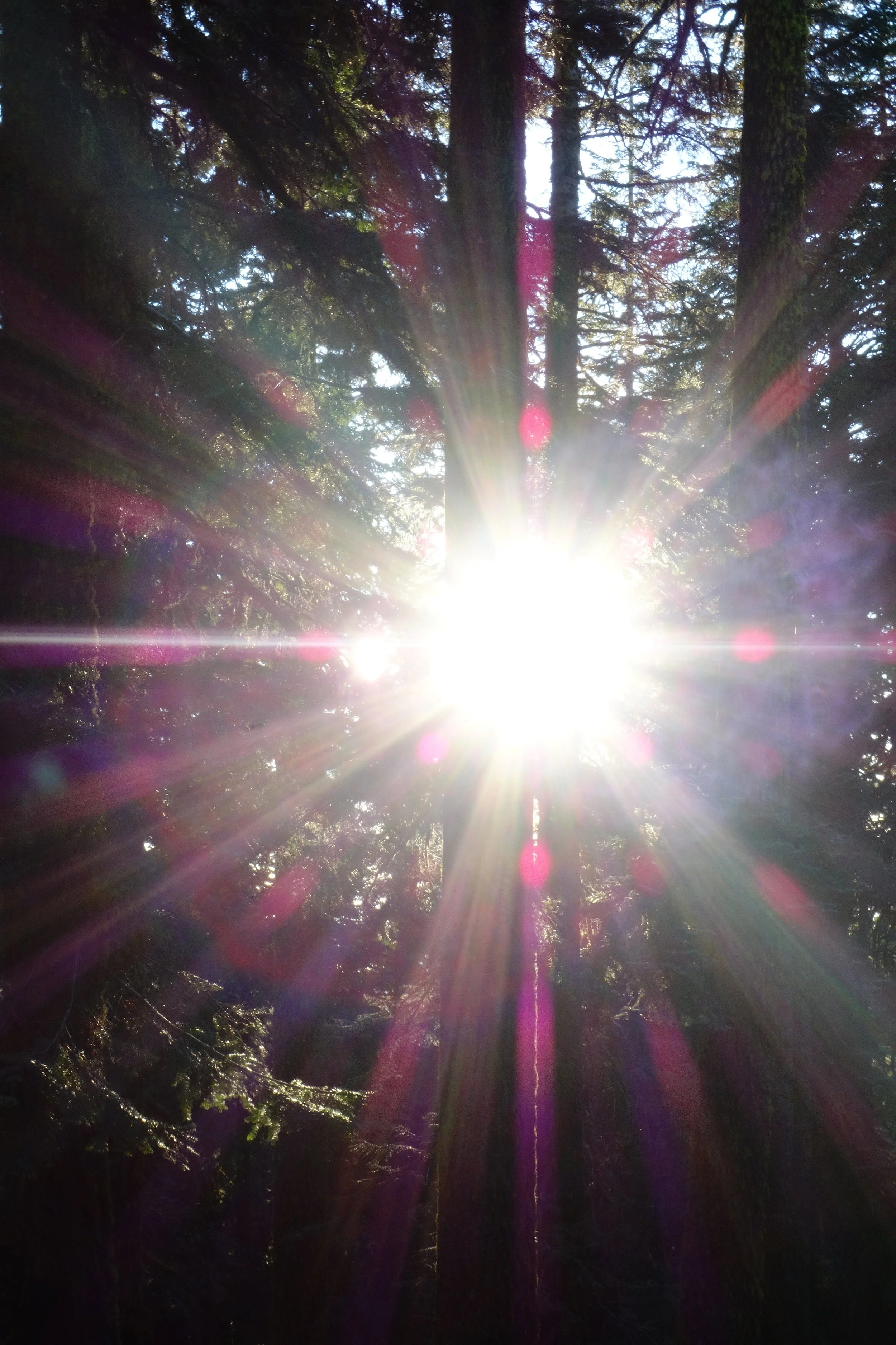 mount shasta spiritual tours