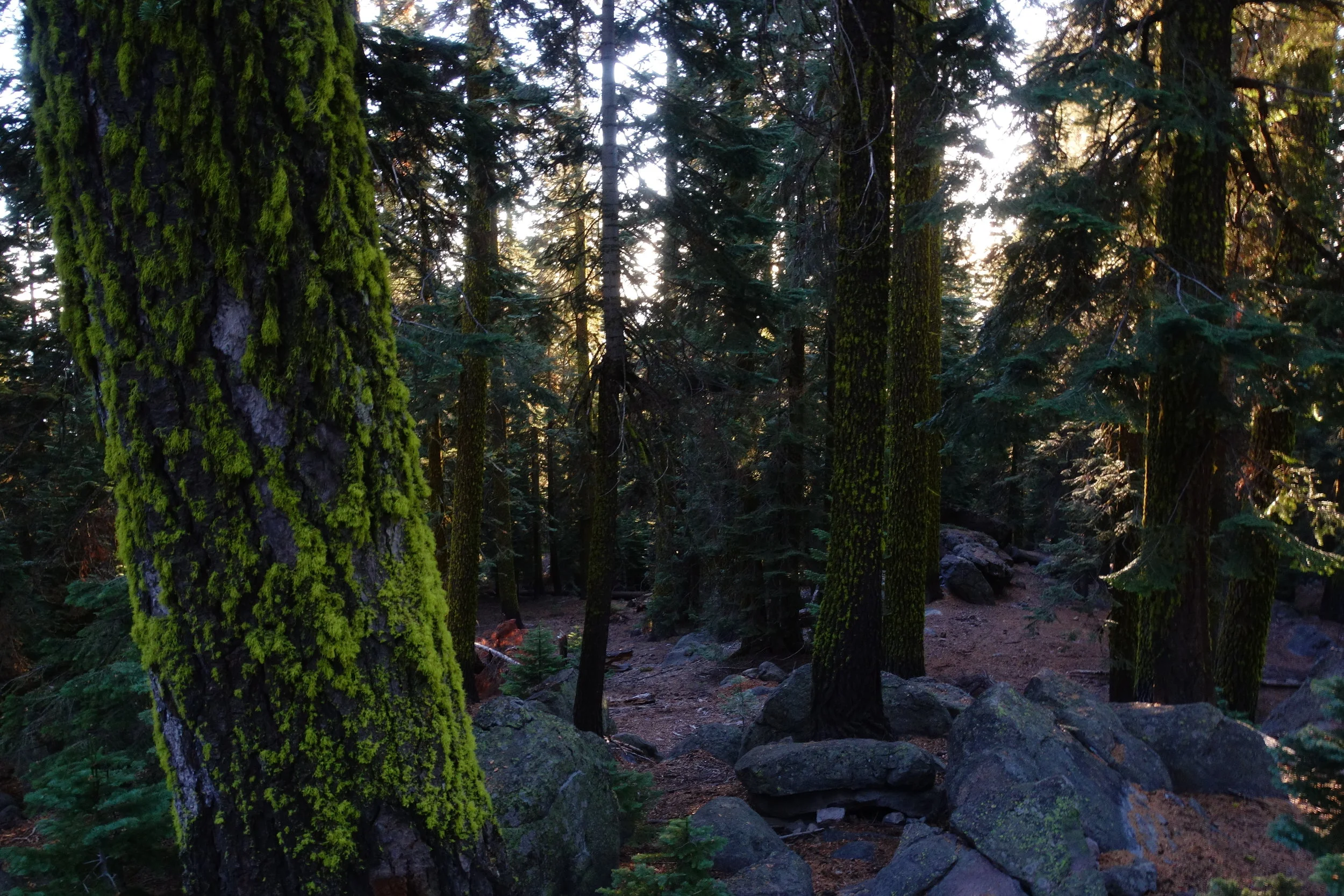 mount shasta spiritual tours