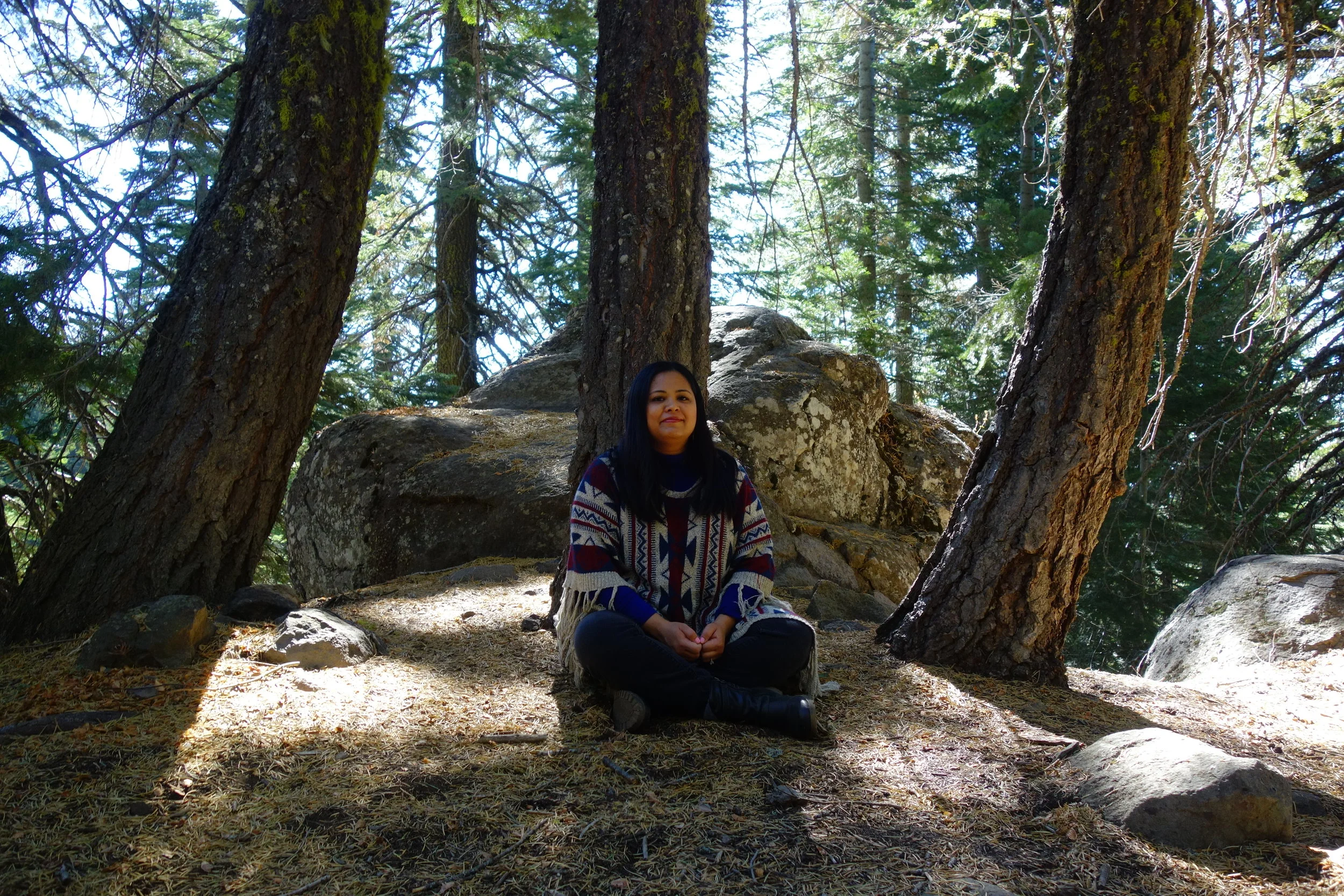 mount shasta spiritual tours