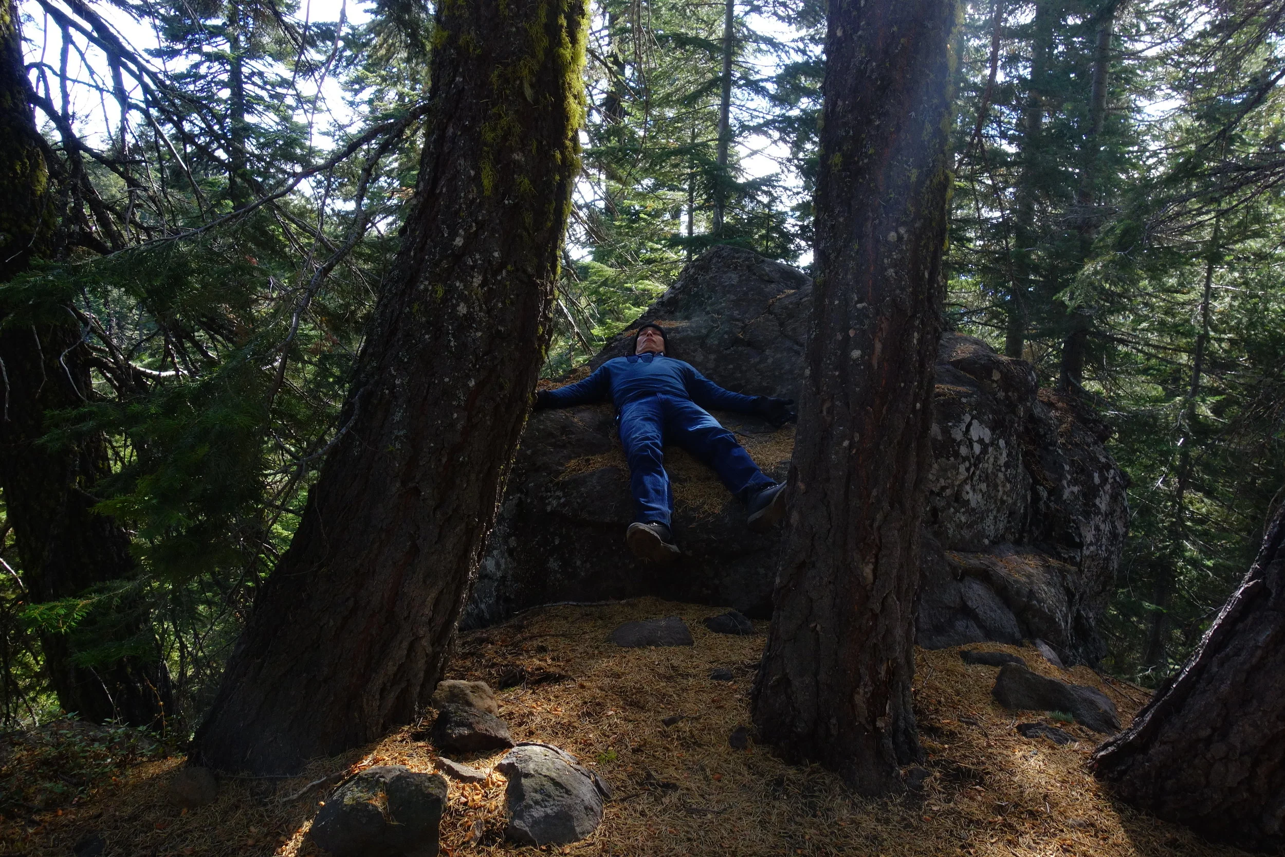 mount shasta spiritual tours