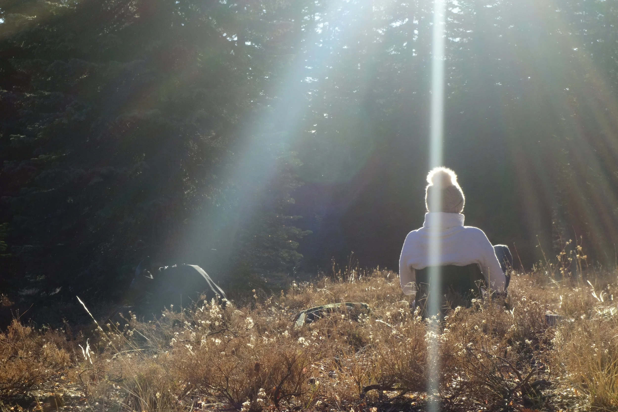 mount shasta spiritual tours