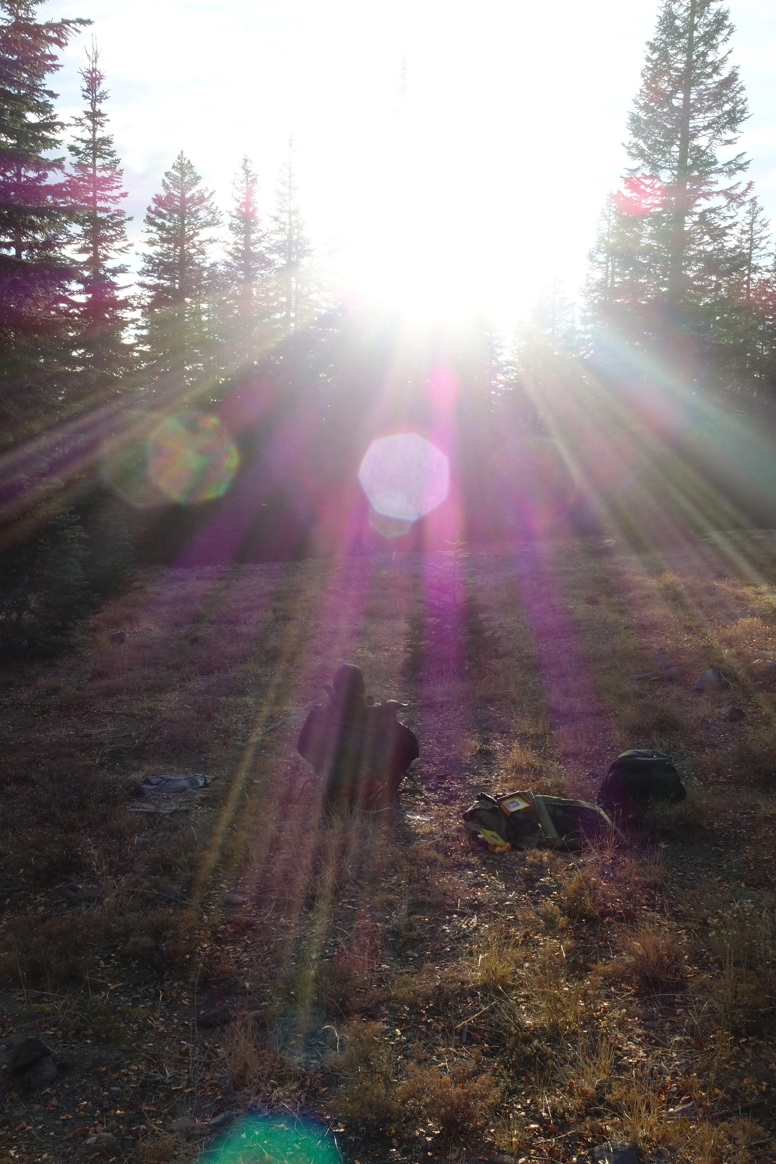 Mt Shasta Spiritual Tours