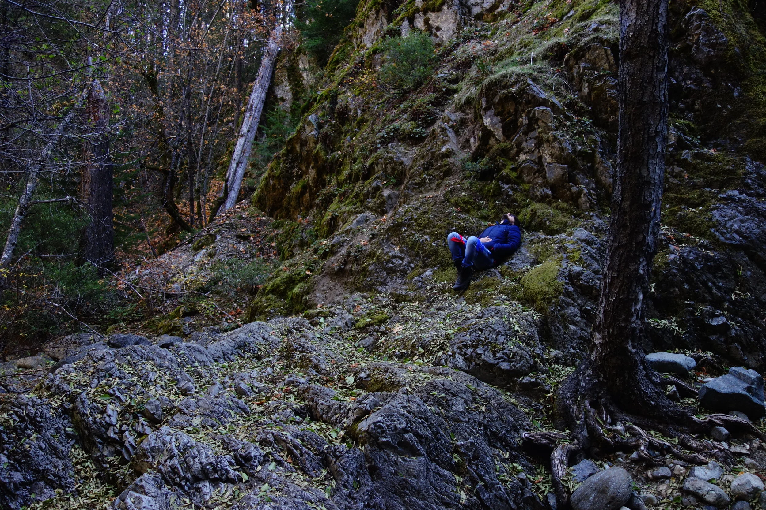 Mt Shasta Spiritual Tours