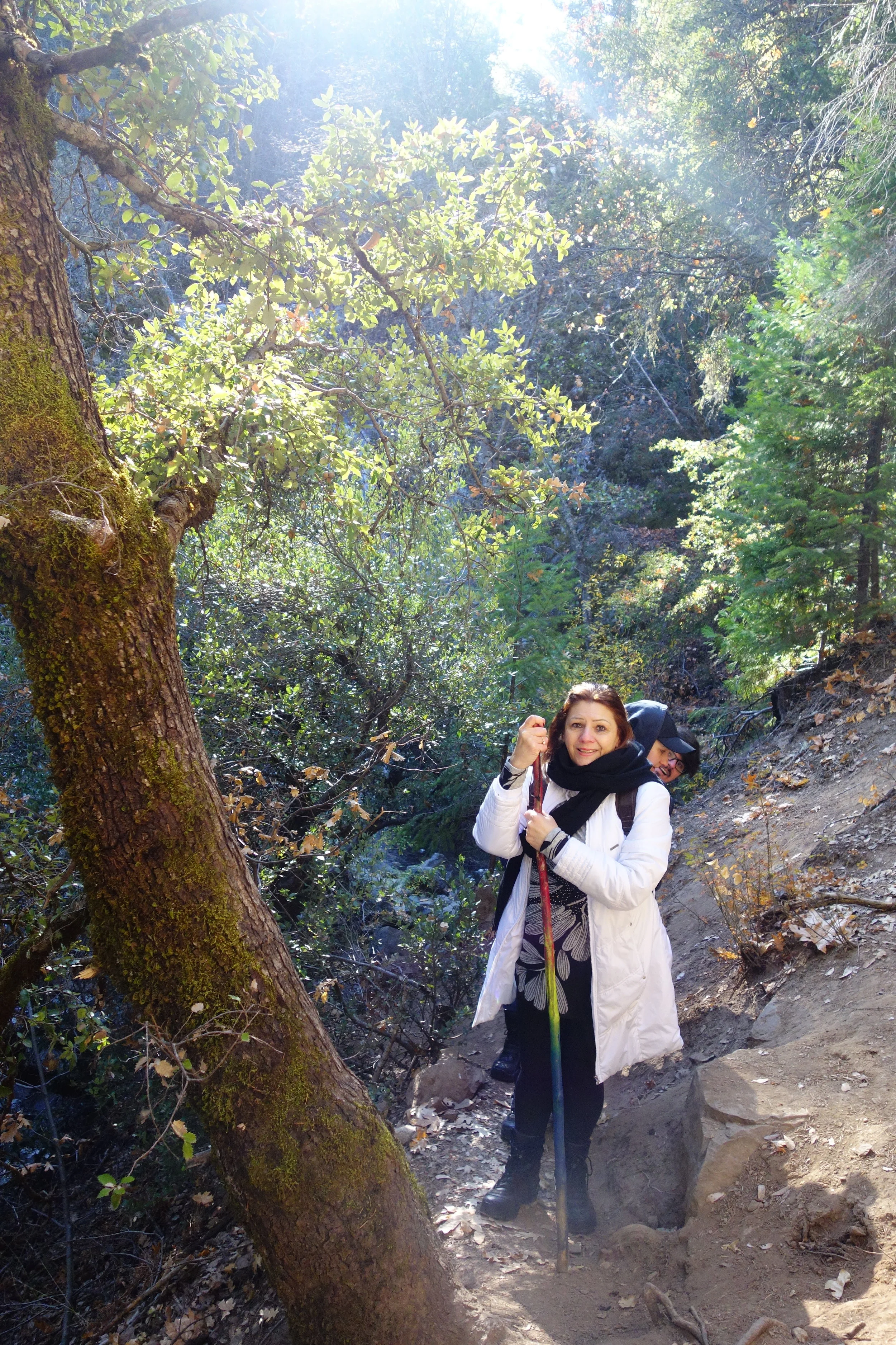 Mt Shasta Spiritual Tours