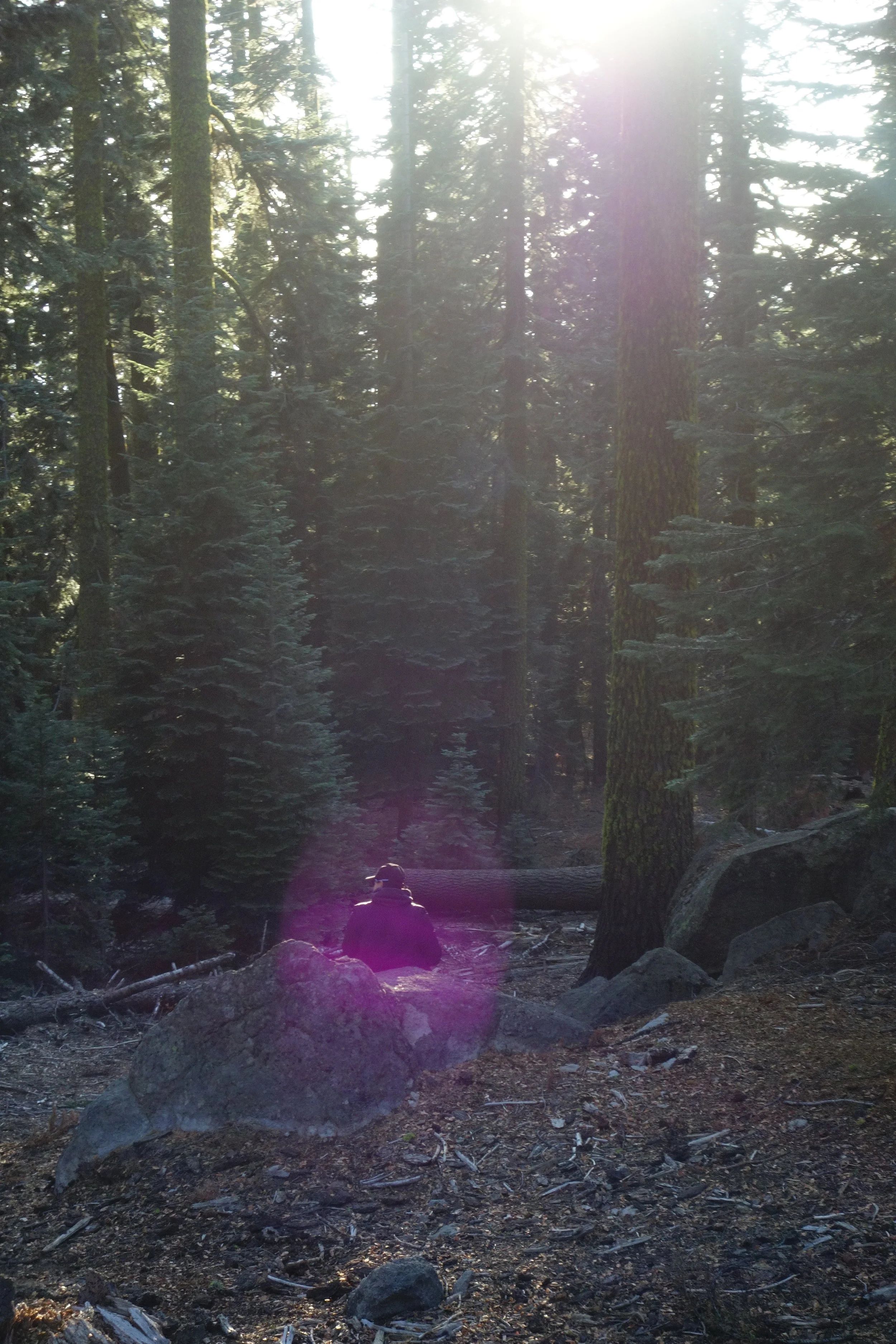 Mt Shasta Spiritual Tours