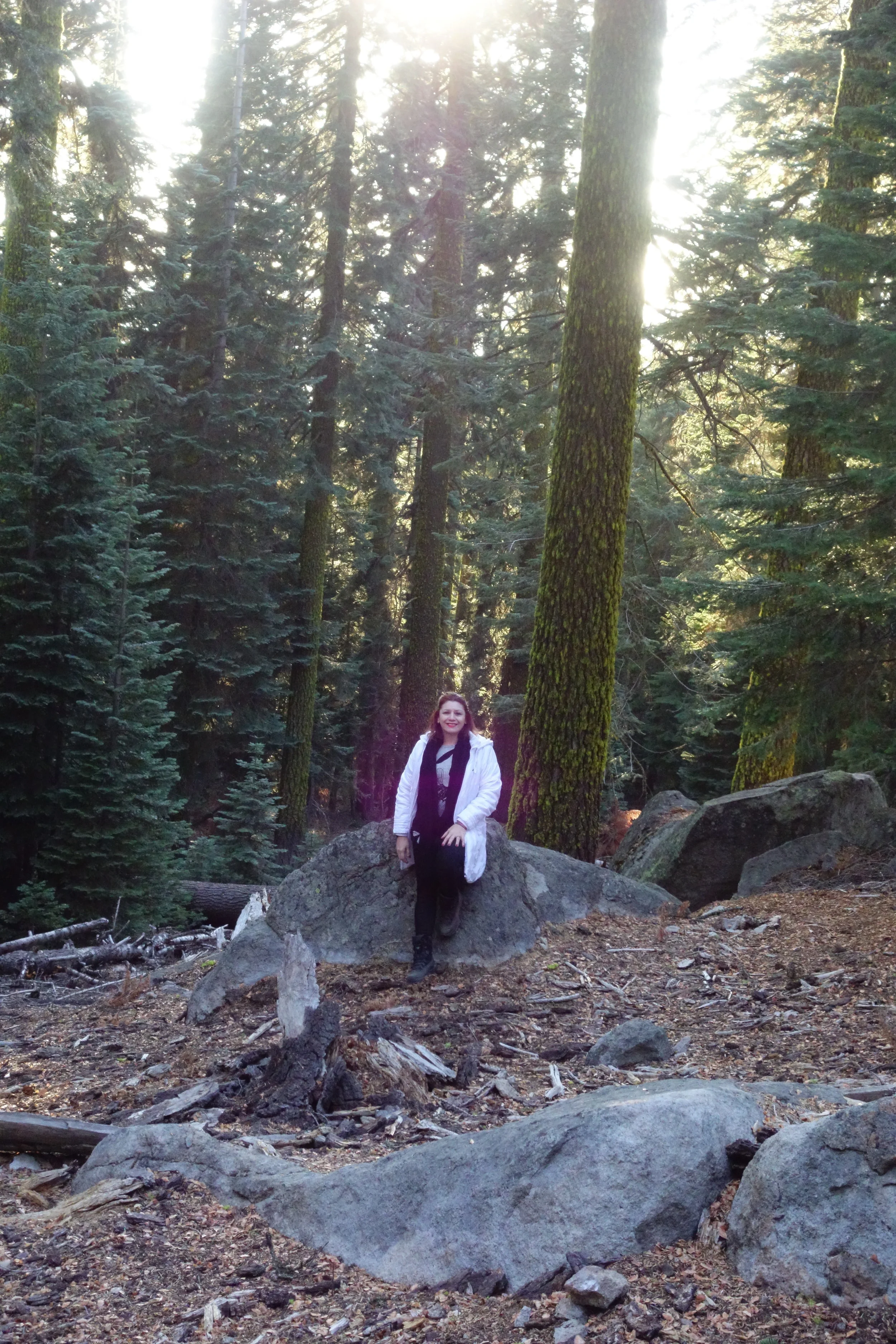 Mt Shasta Spiritual Tours