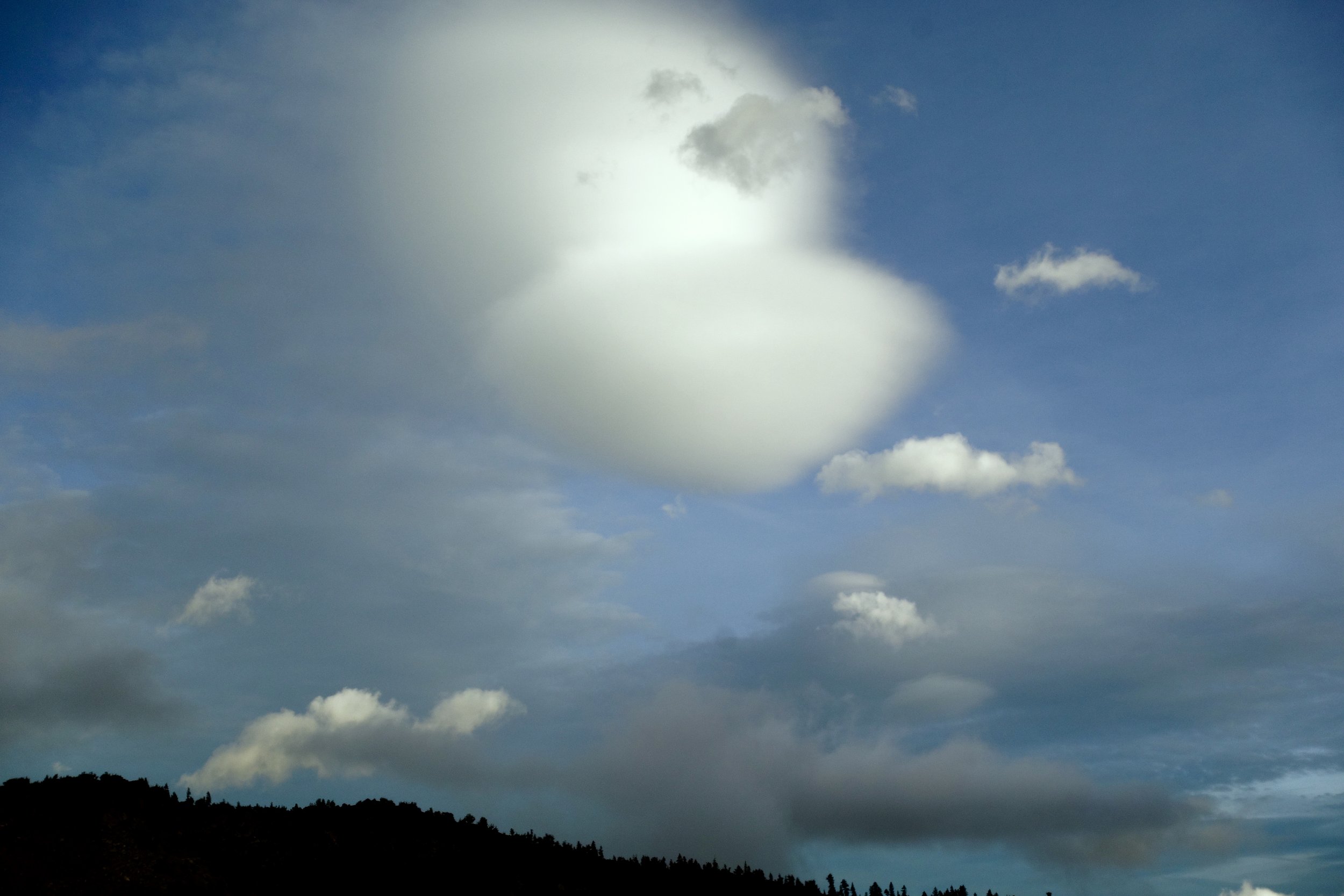 Mt Shasta Spiritual Tours