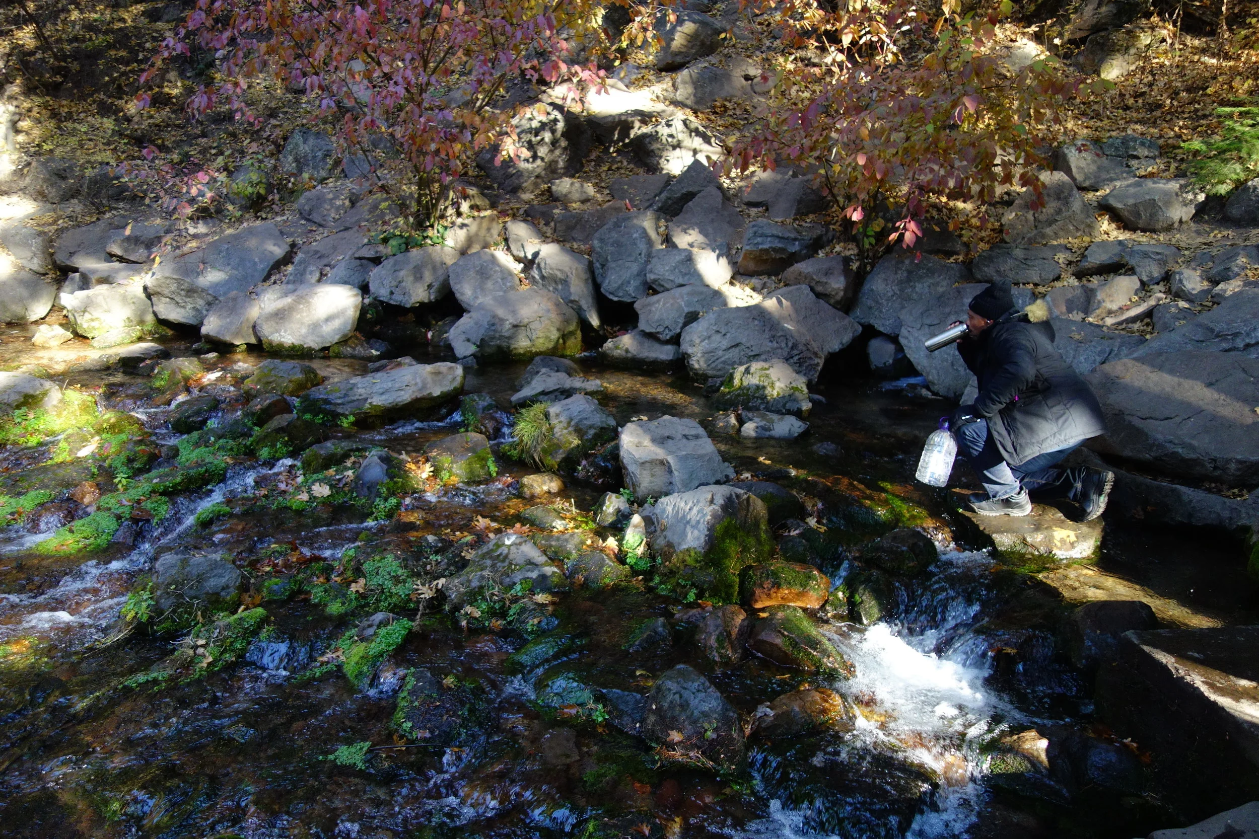 mt. Shasta Spiritual Tours Homepage