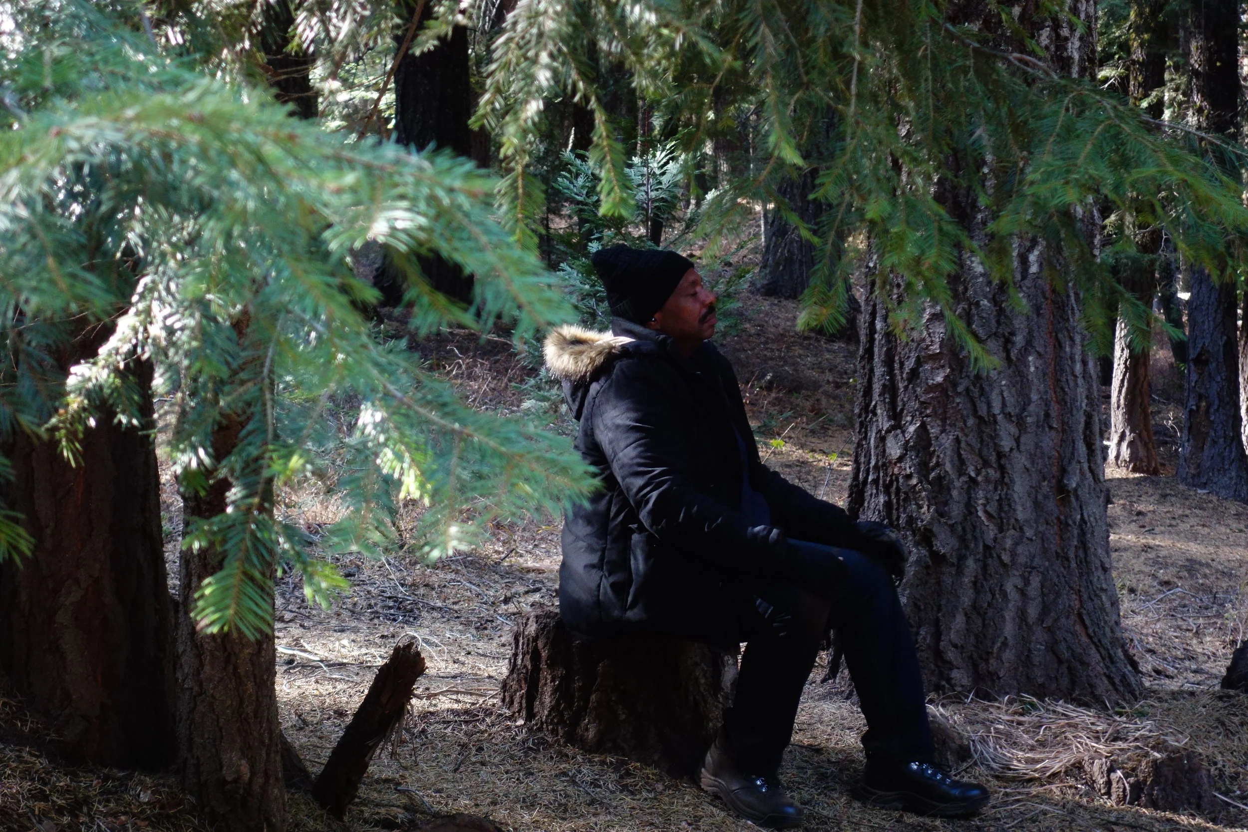 mt. Shasta Spiritual Tours 