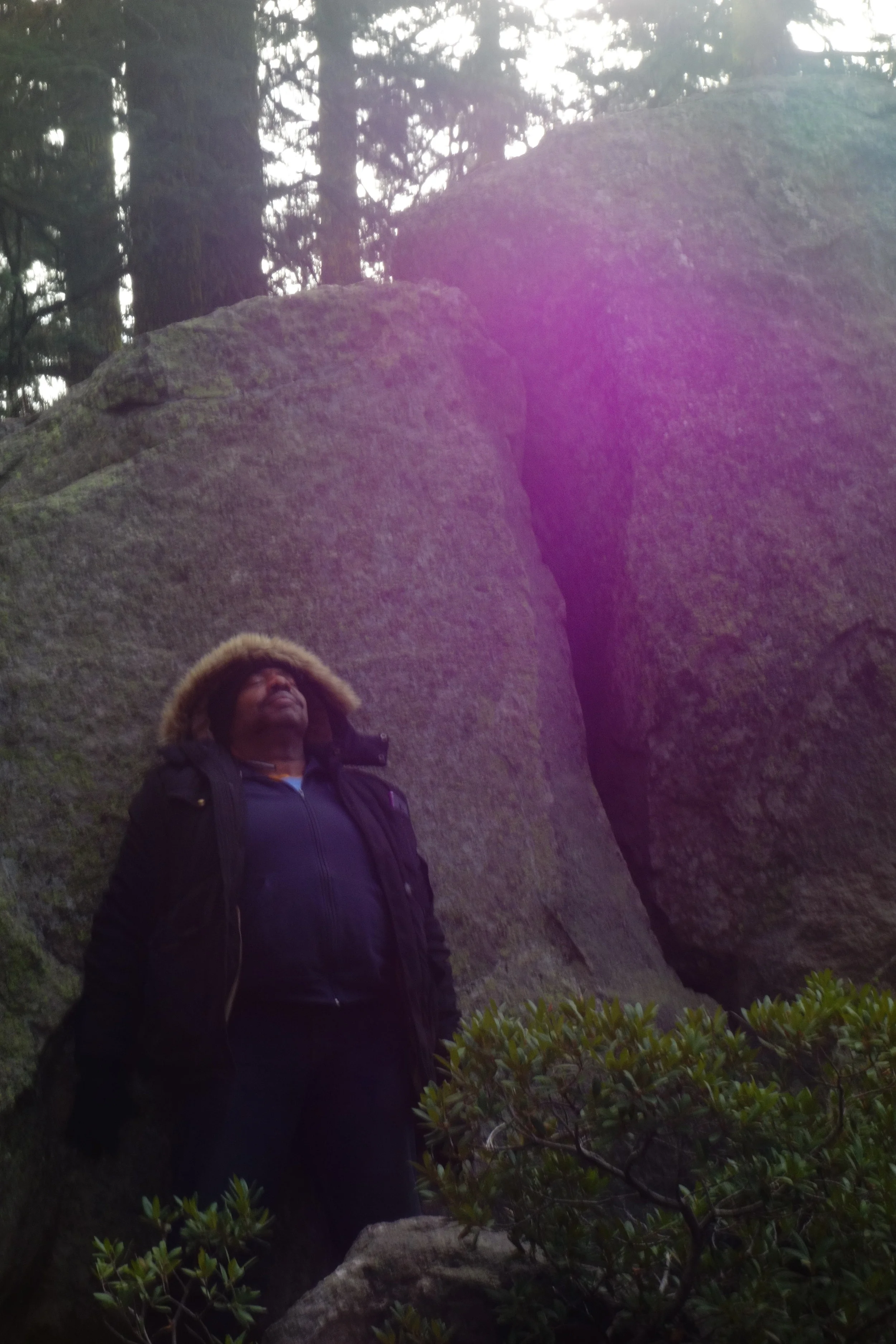 mt. Shasta Spiritual Tours 