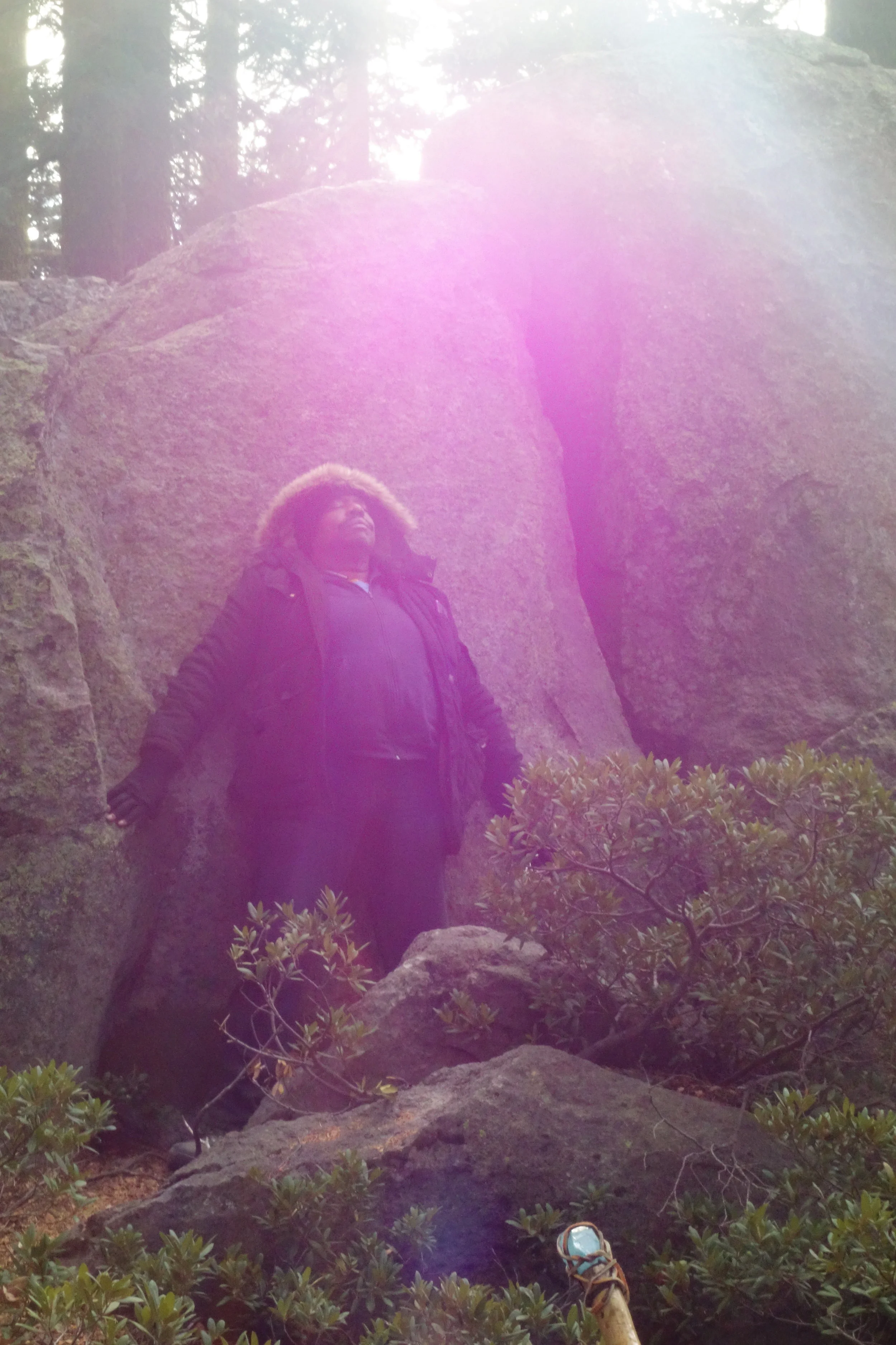 mt. Shasta Spiritual Tours 