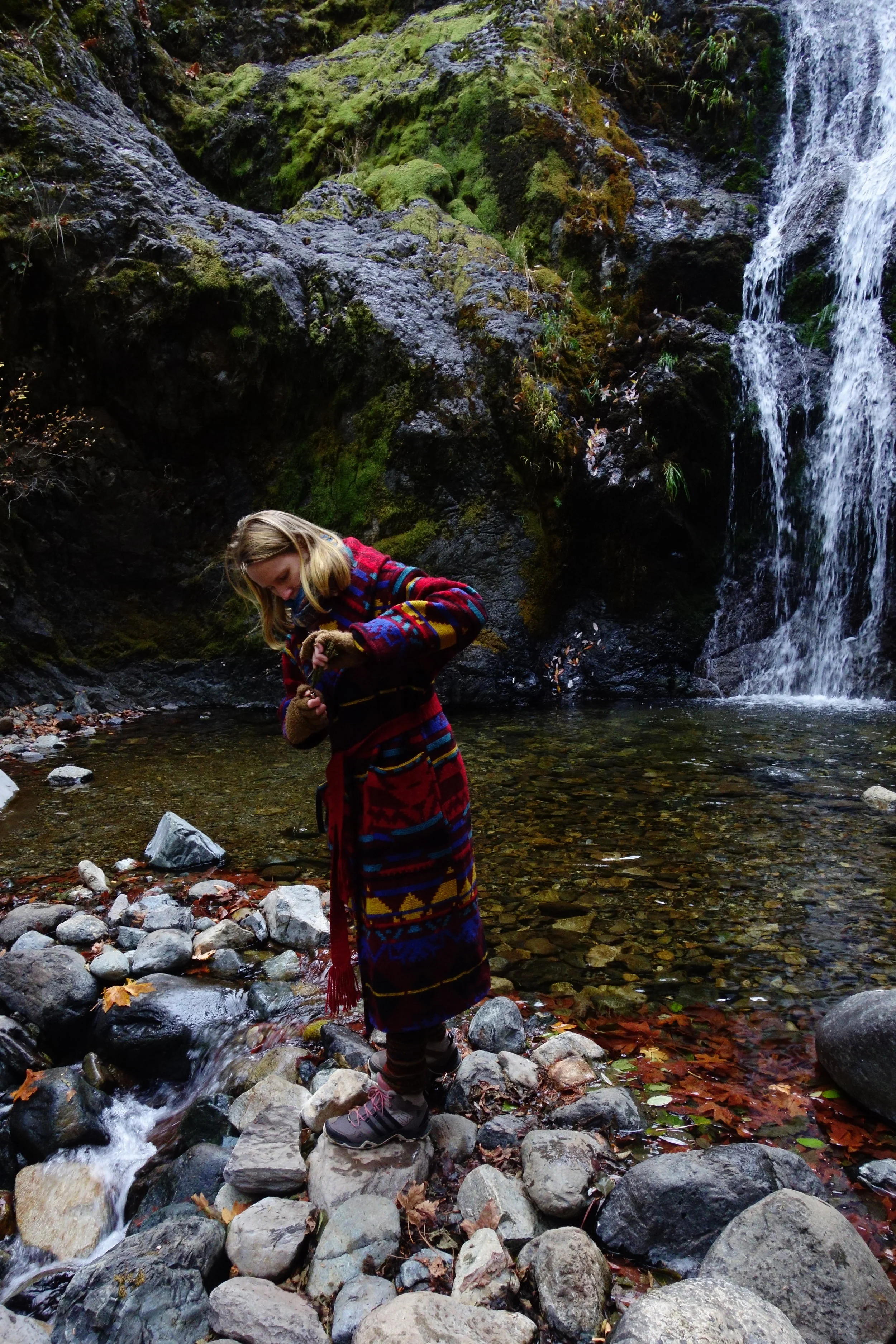 mt. Shasta Spiritual Tours 