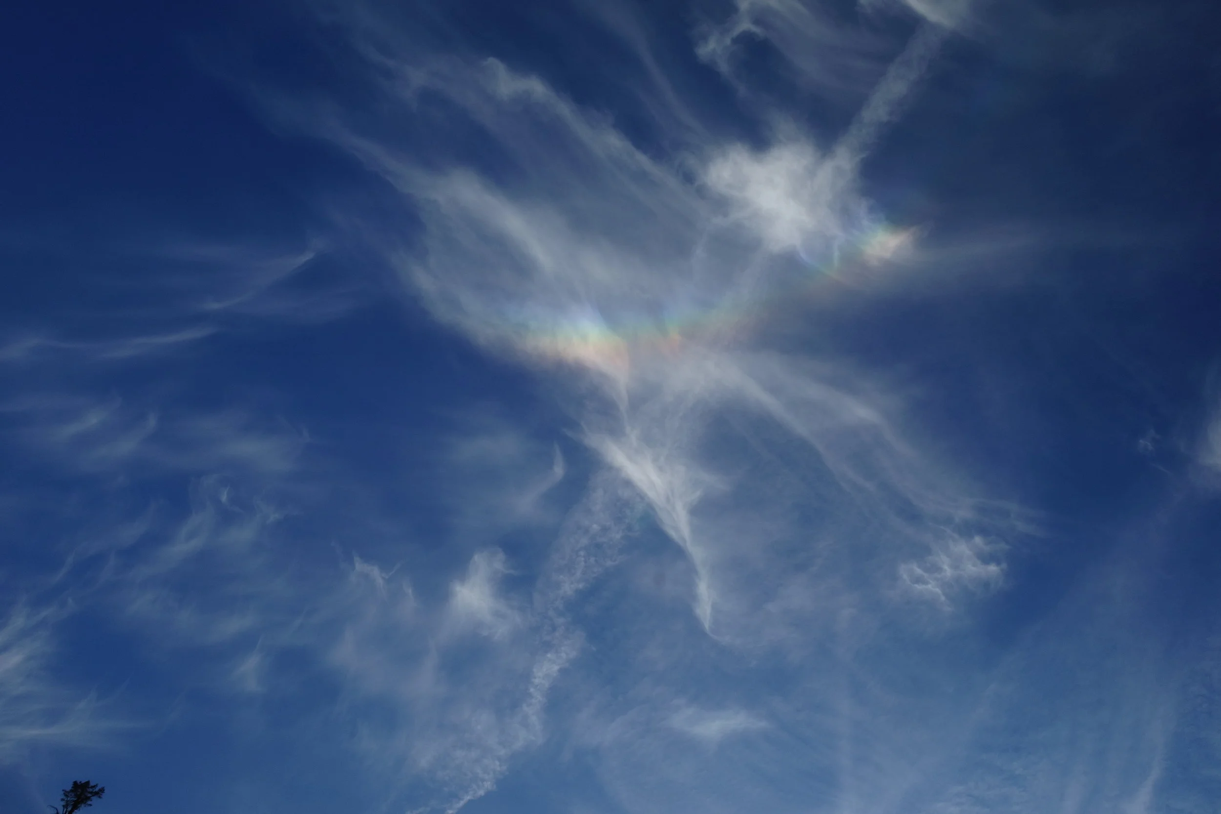 mt. Shasta Spiritual Tours 