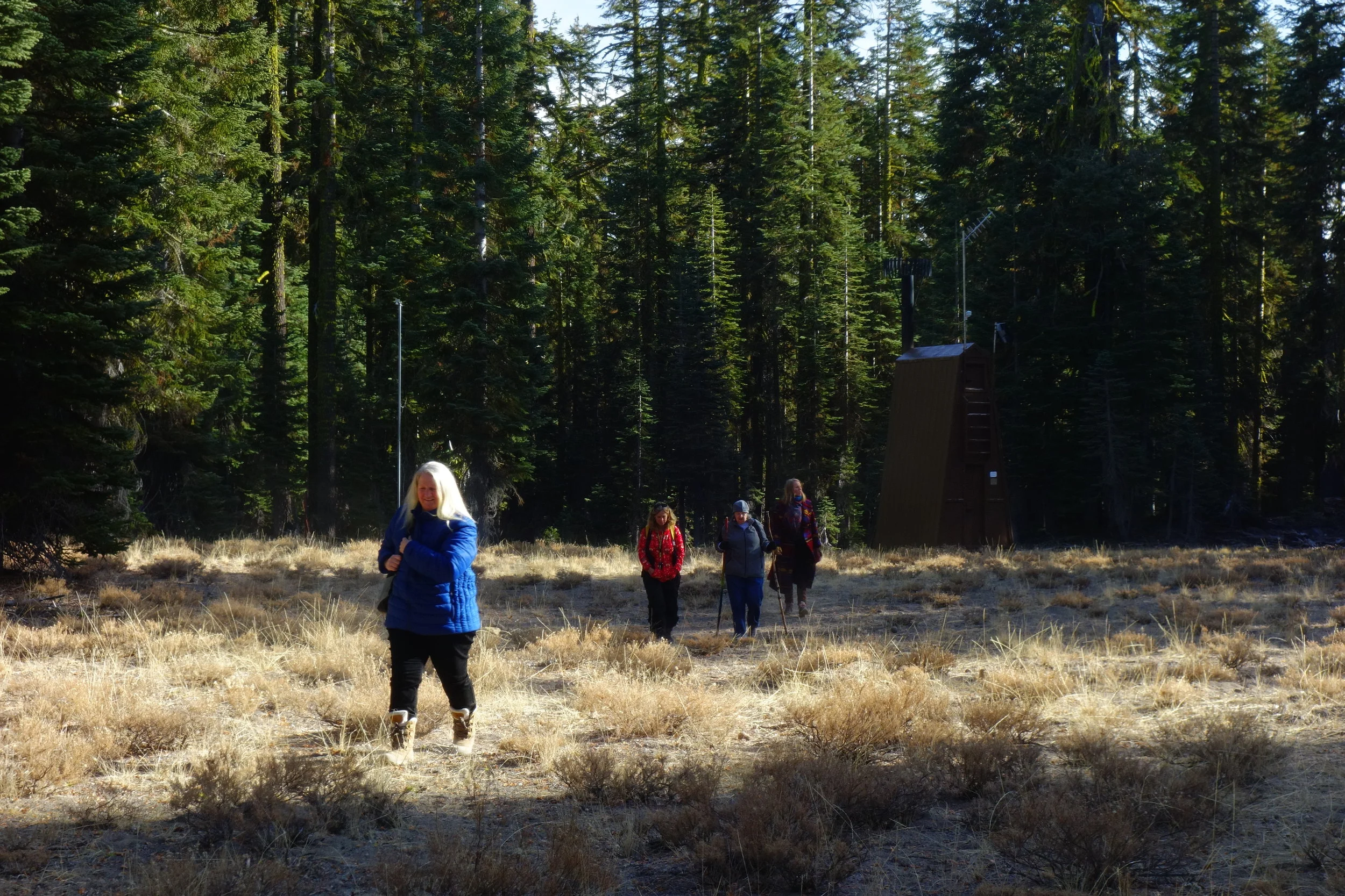 mt. Shasta Spiritual Tours 