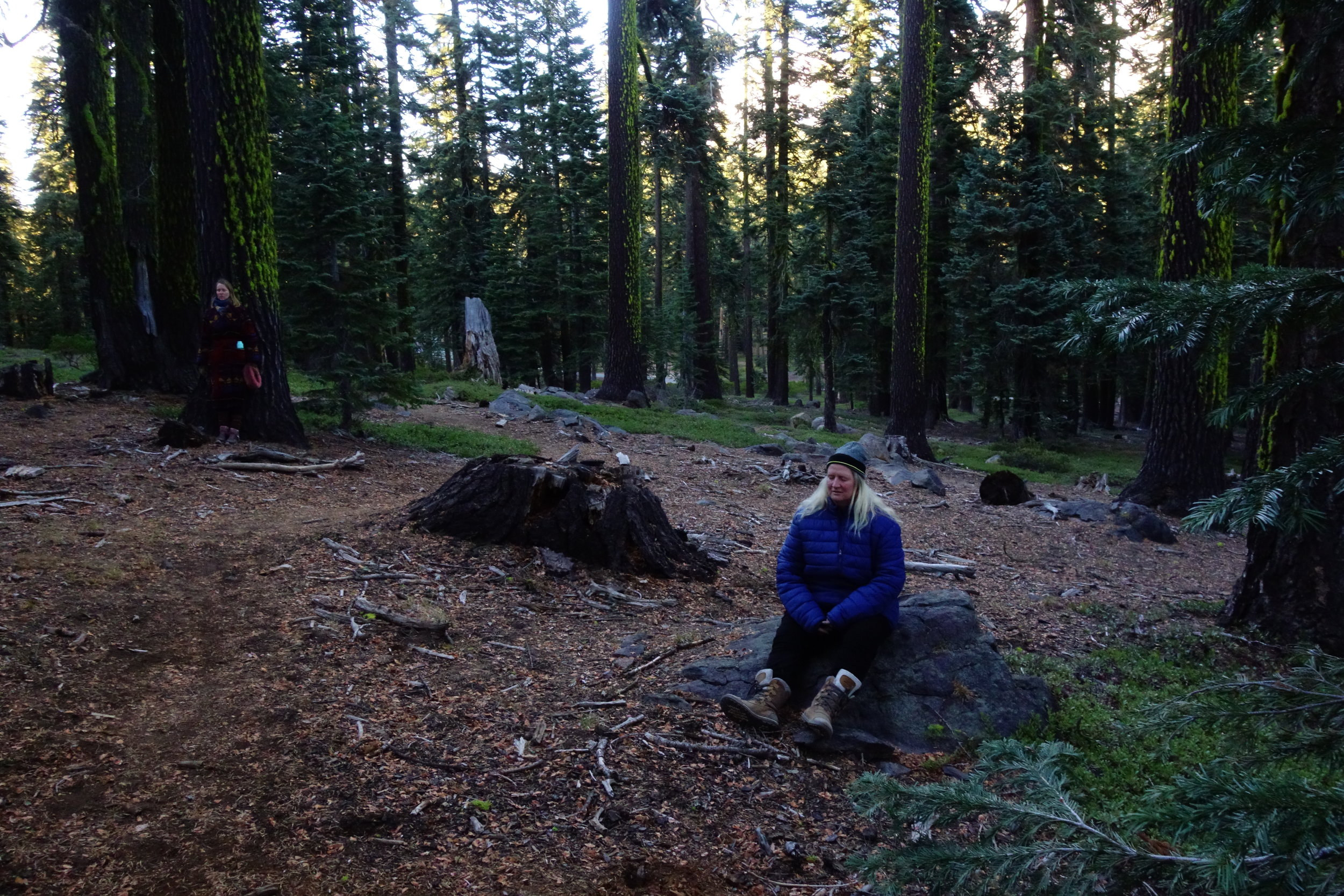 mt. Shasta Spiritual Tours 