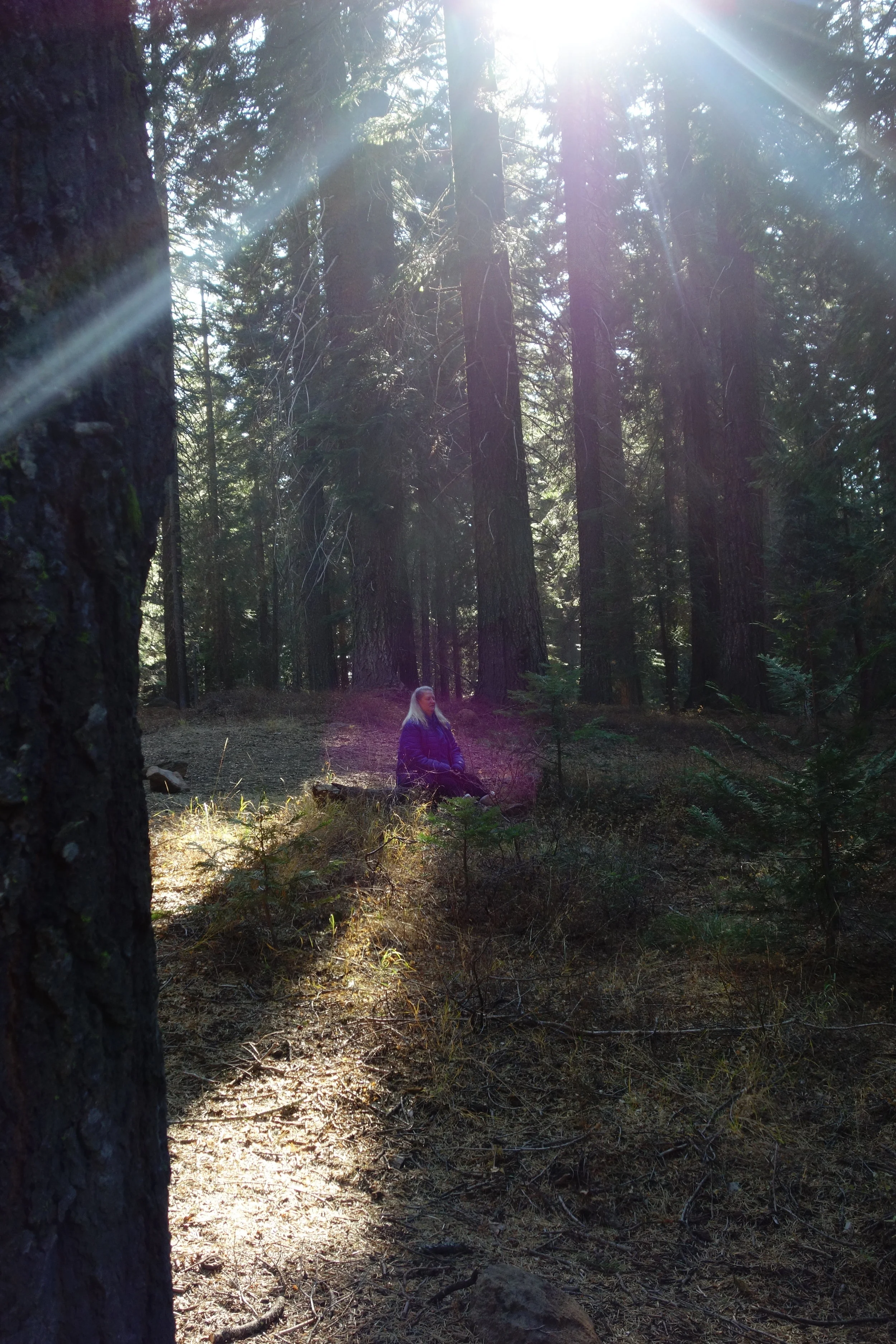 mt. Shasta Spiritual Tours 