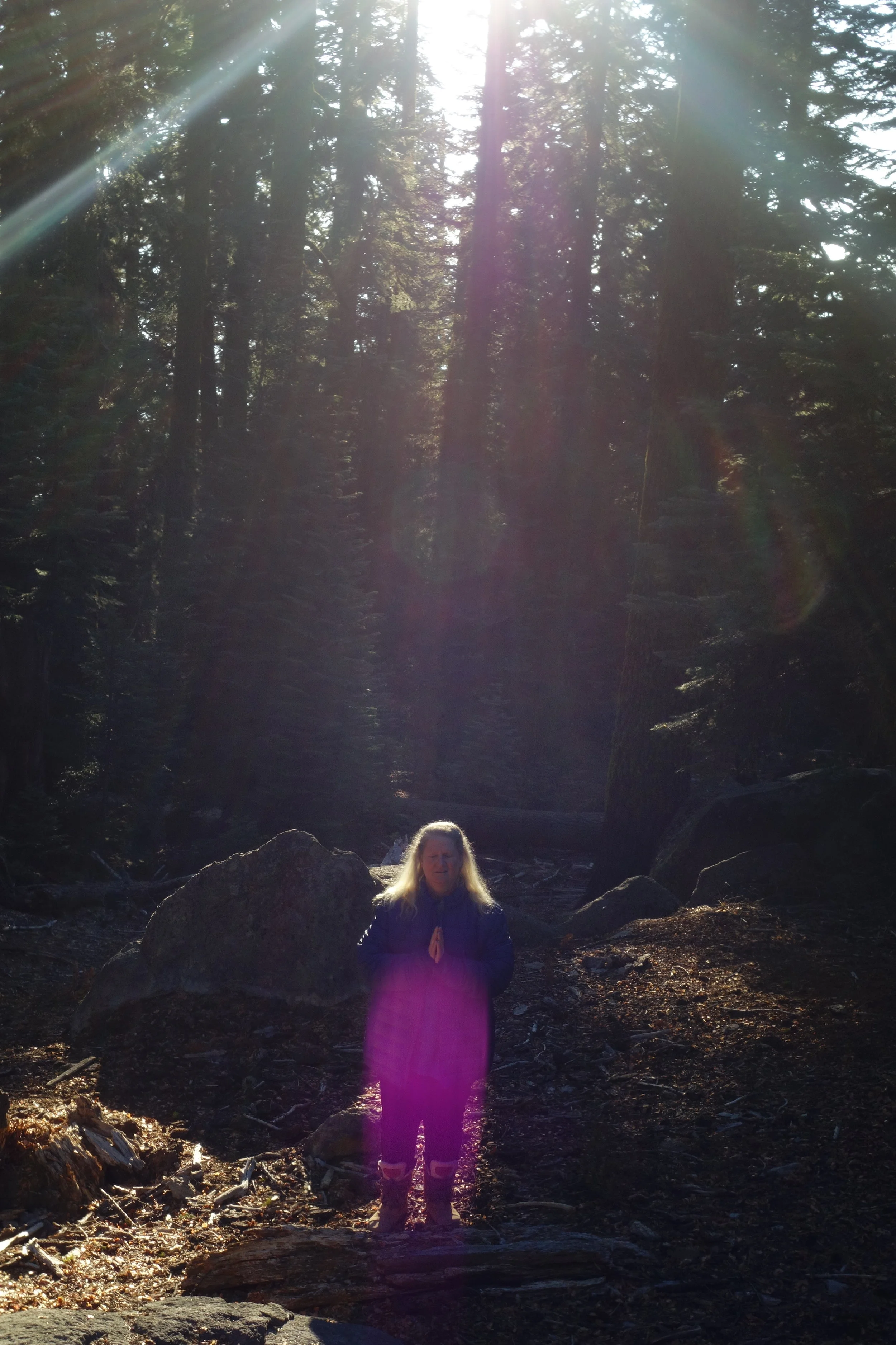 mt. Shasta Spiritual Tours 