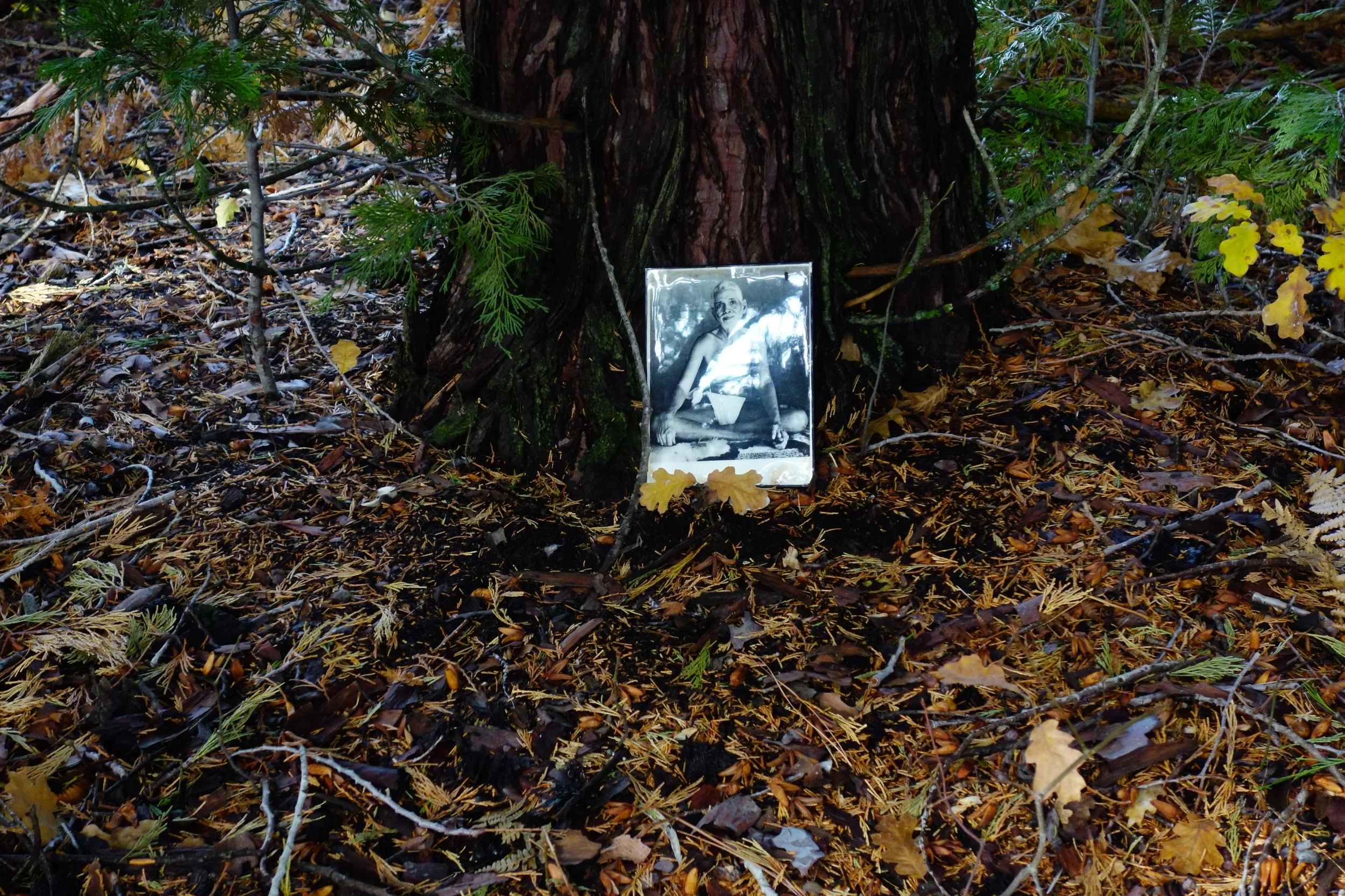 mt. Shasta Spiritual Tours 